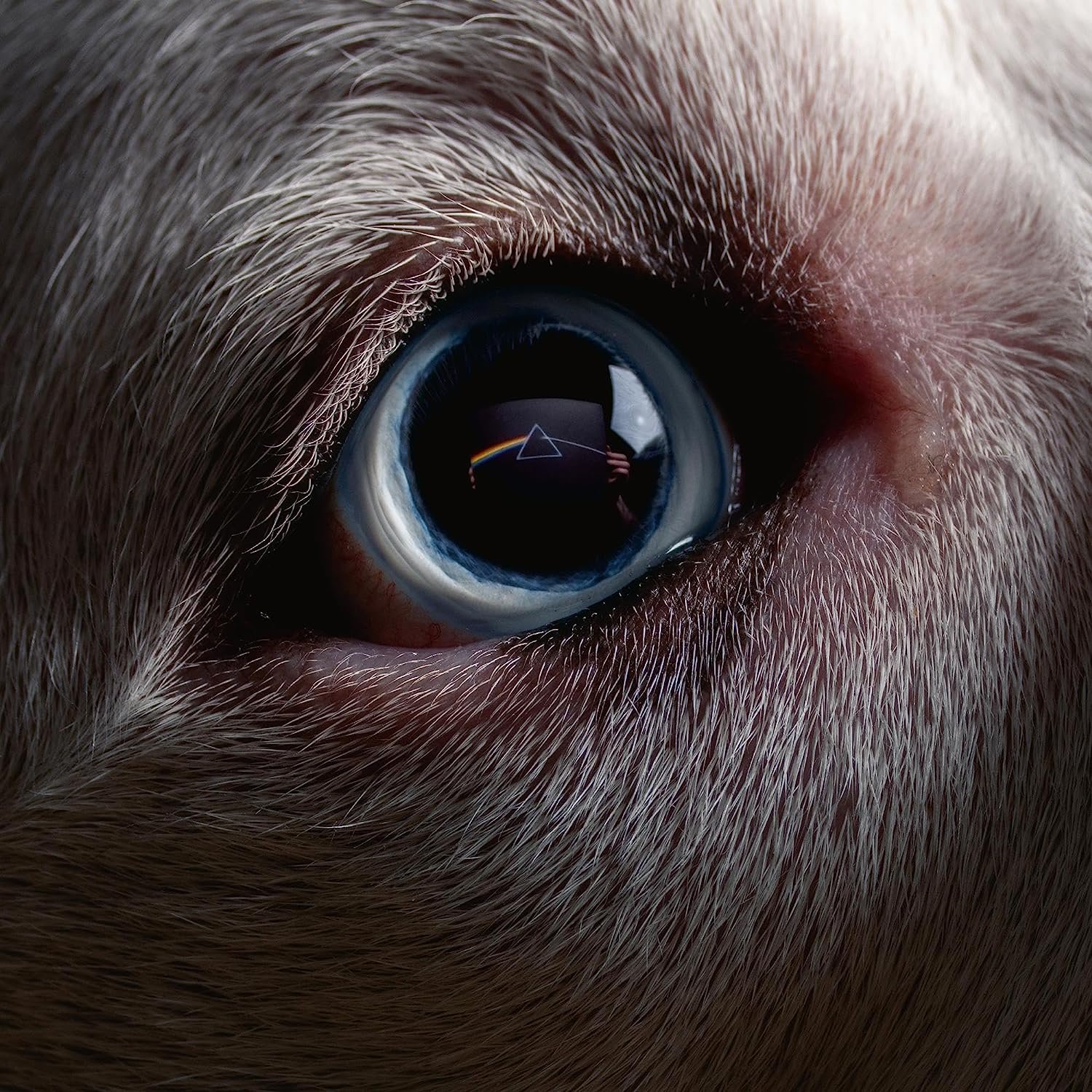 

Roger Waters – The Dark Side Of The Moon Redux (2 LP)