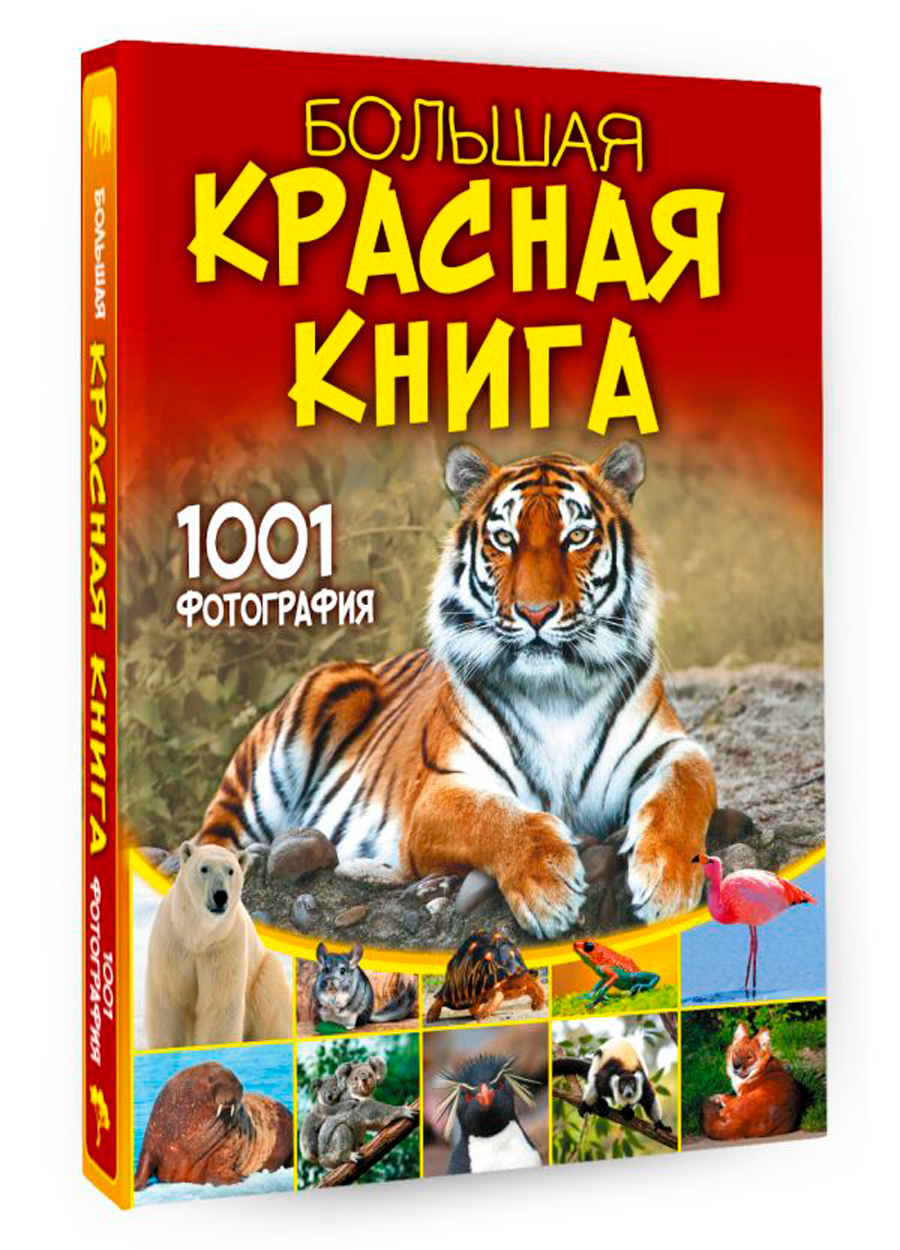 Большая красная книга: 1001 фотография