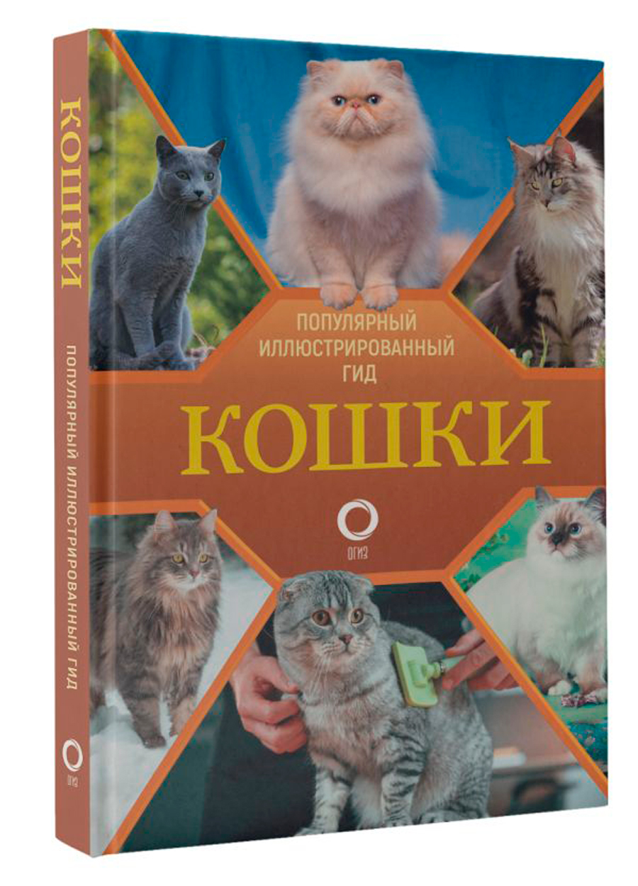

Кошки