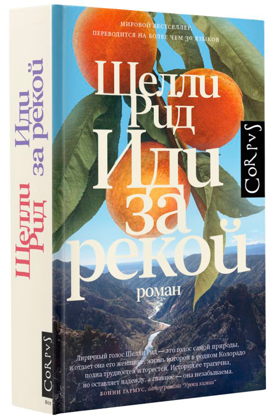 

Иди за рекой