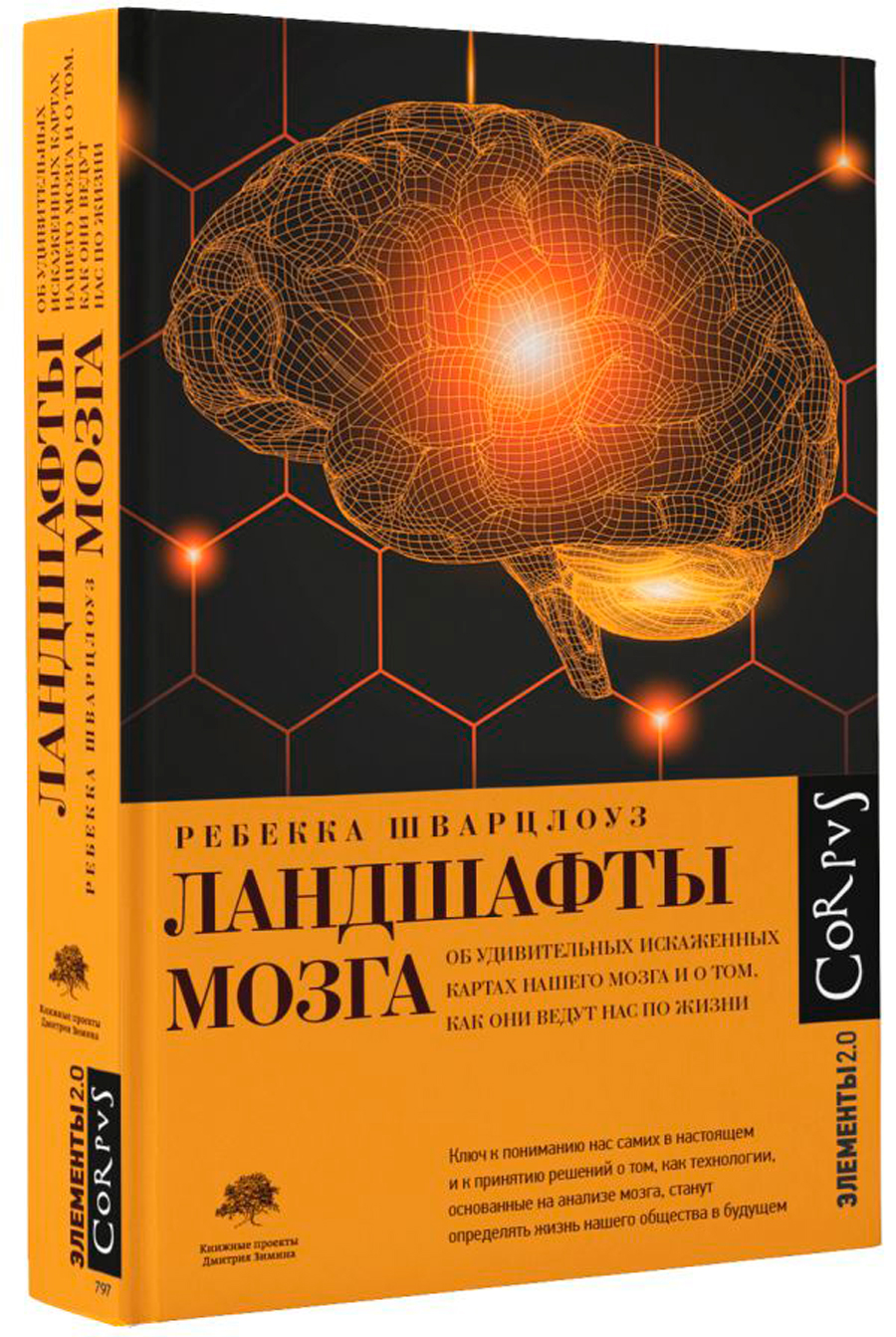 

Ландшафты мозга