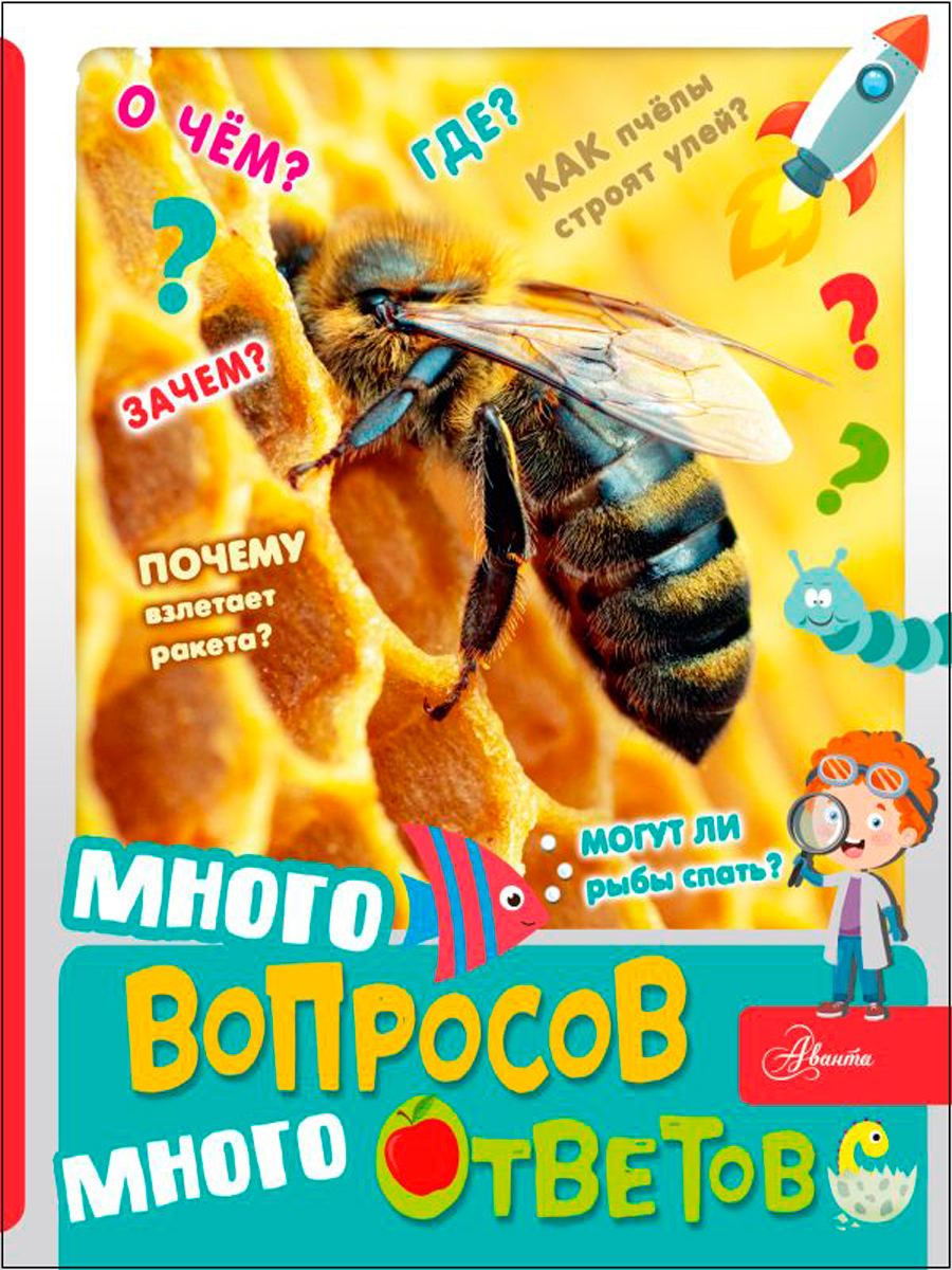

Много вопросов, много ответов