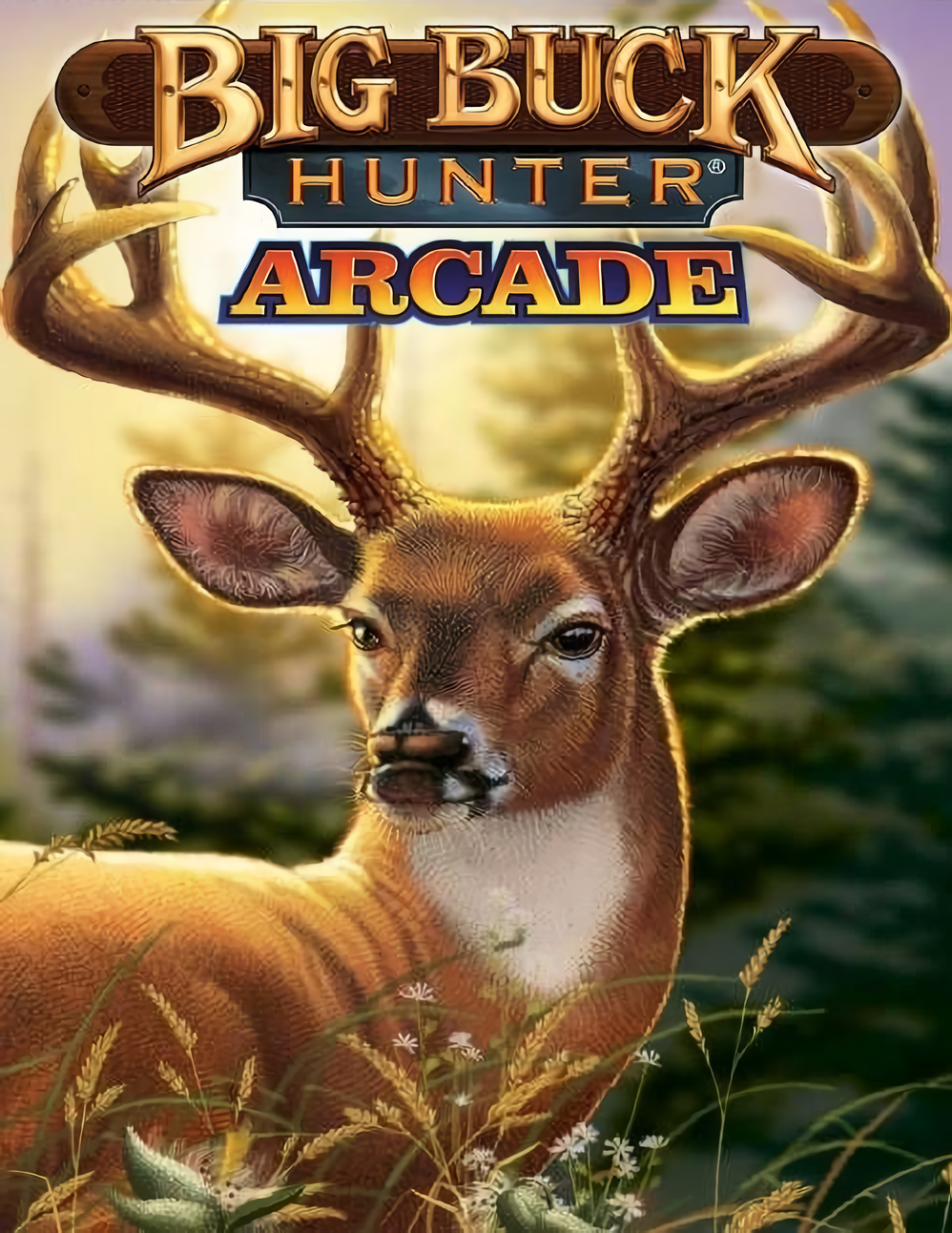 

Big Buck Hunter Arcade [PC, Цифровая версия] (Цифровая версия)