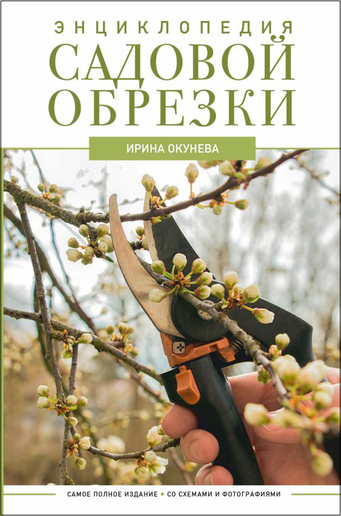

Энциклопедия садовой обрезки