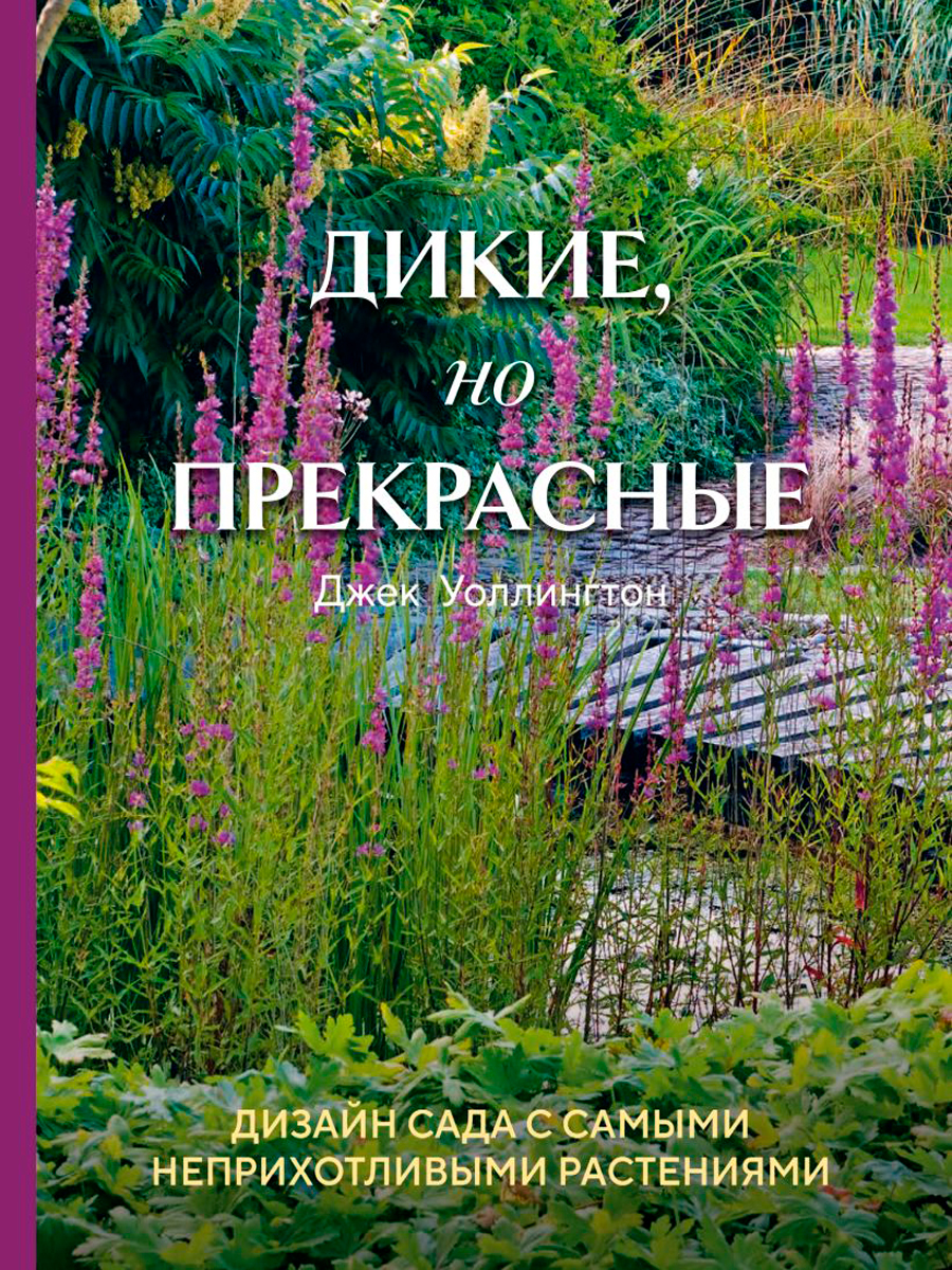 

Дикие, но прекрасные: Дизайн сада с самыми неприхотливыми растениями