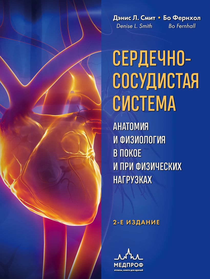 

Сердечно-сосудистая система: Анатомия и физиология в покое и при физических нагрузках