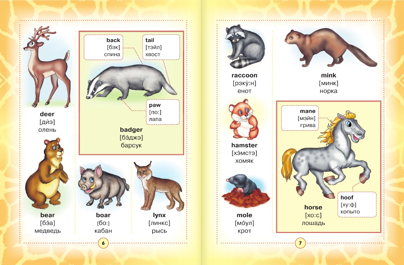 Животные россии на английском с переводом
