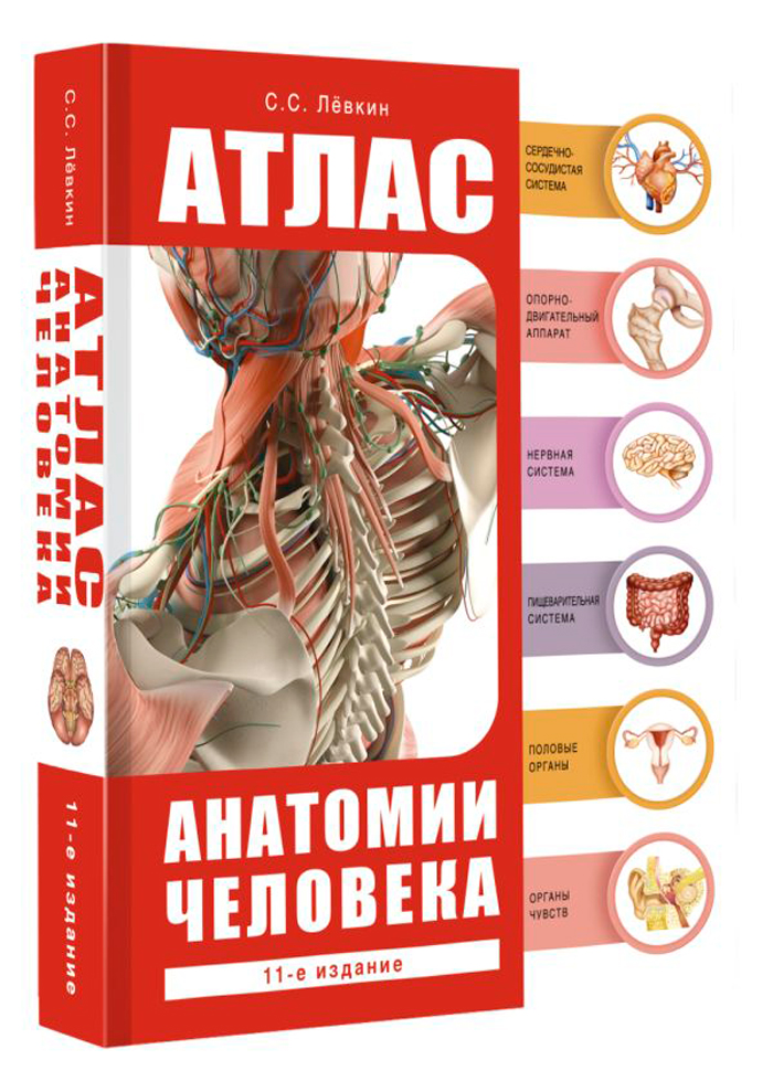 

Атлас анатомии человека