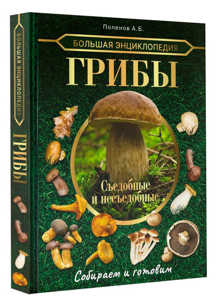 

Большая энциклопедия: Грибы – Съедобные и несъедобные, собираем и готовим