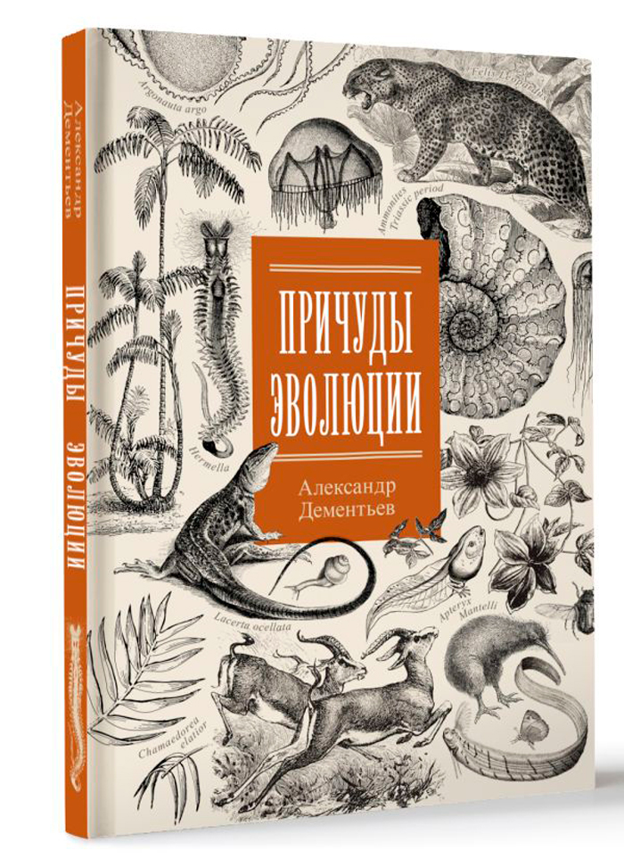 

Причуды эволюции