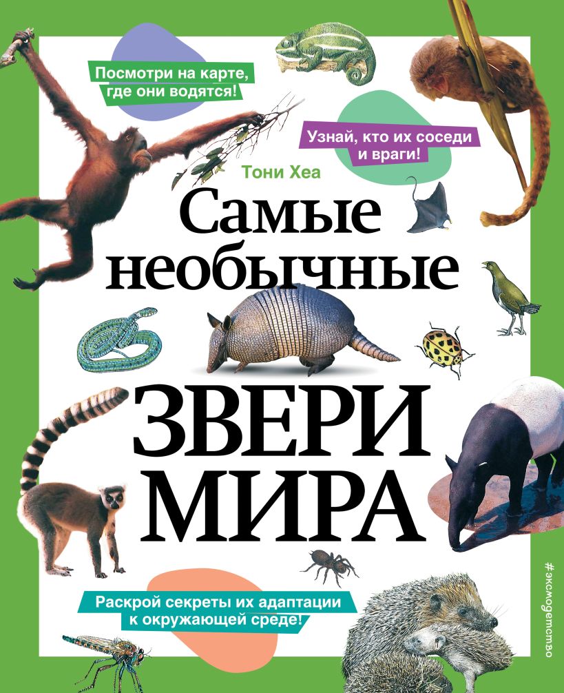 Самые необычные звери мира