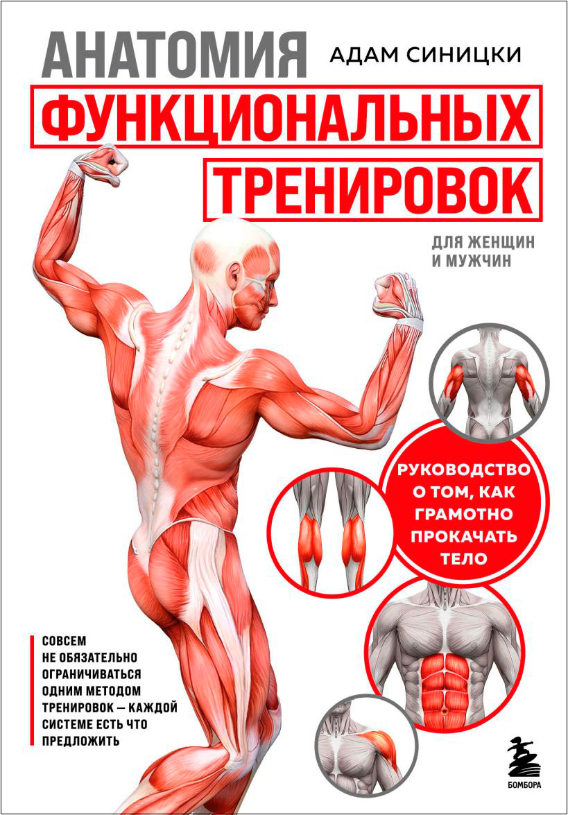 Анатомия функциональных тренировок: Руководство о том, как грамотно прокачать тело