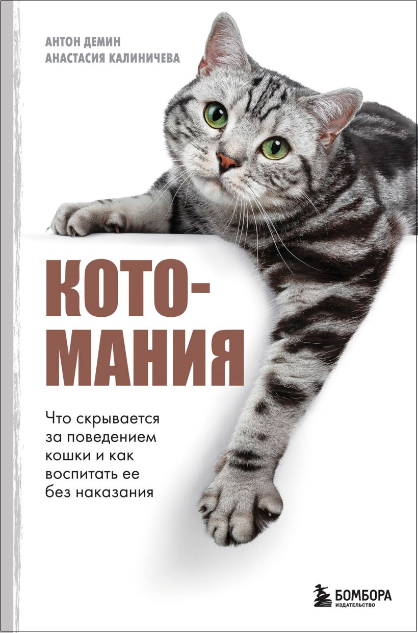 Котомания: Что скрывается за поведением кошки и как воспитать ее без наказания