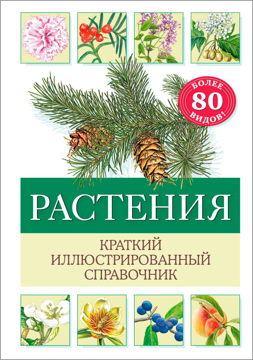 

Растения: Краткий иллюстрированный справочник