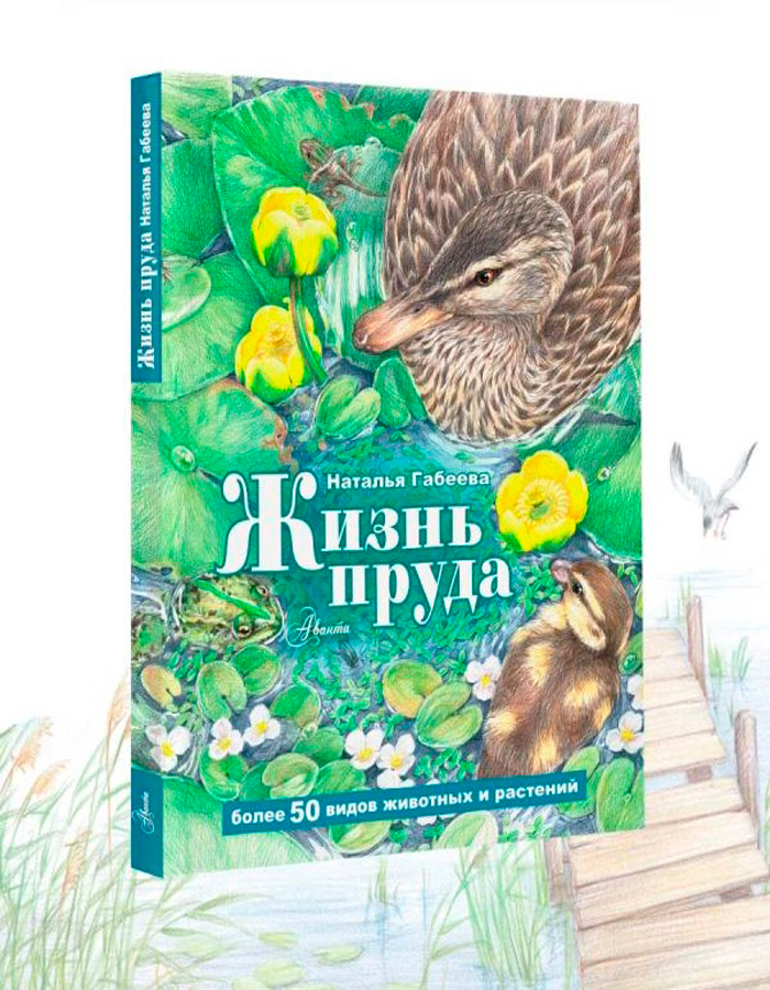 

Жизнь пруда