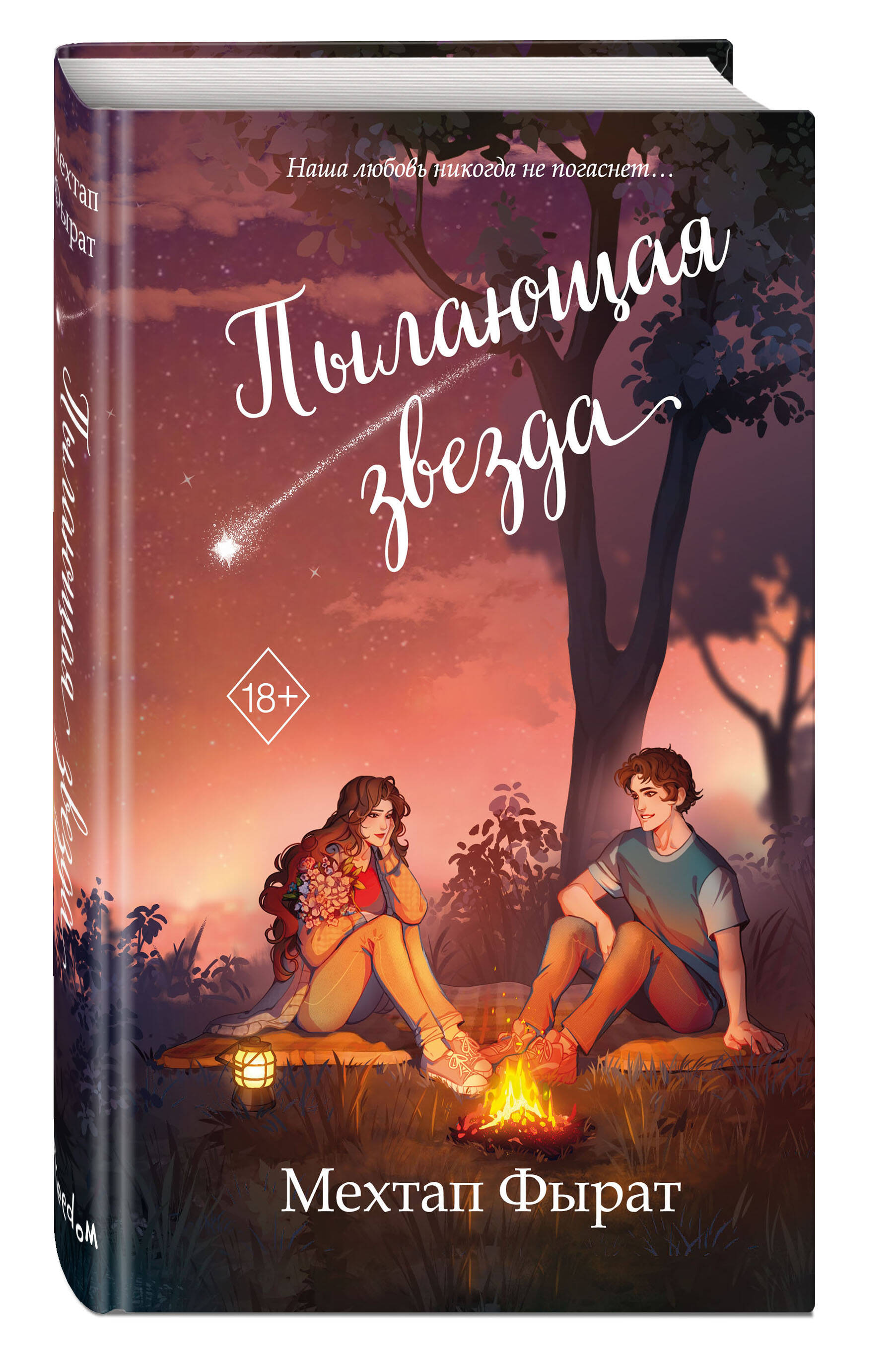 Пылающая звезда. Книга 2