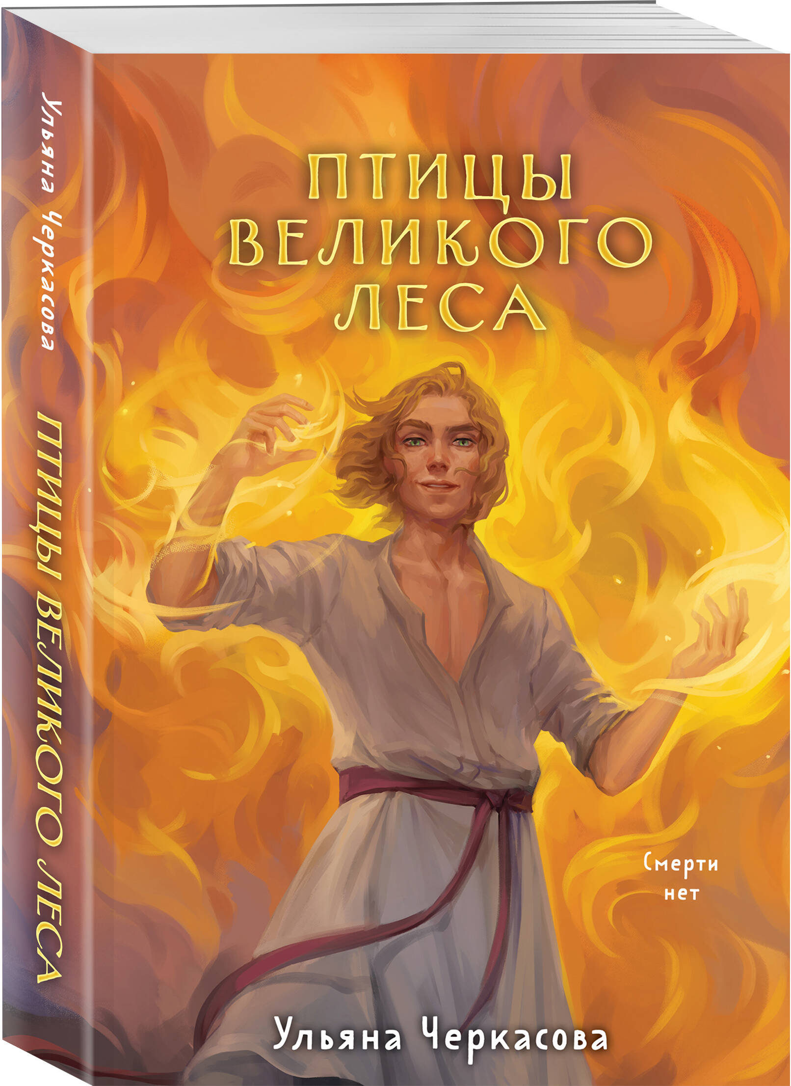 

Золотые земли: Птицы Великого леса. Книга 3