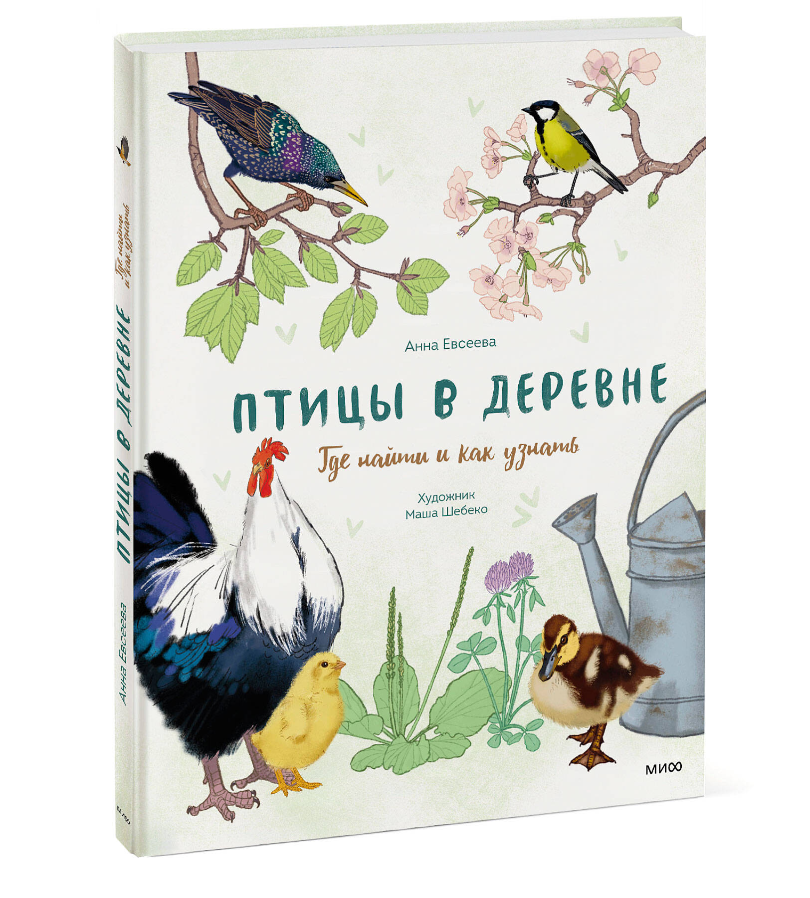 

Птицы в деревне: Где найти и как узнать
