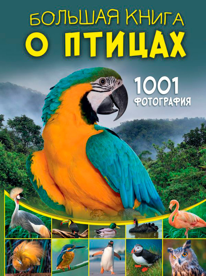 

Большая книга о птицах: 1001 фотография