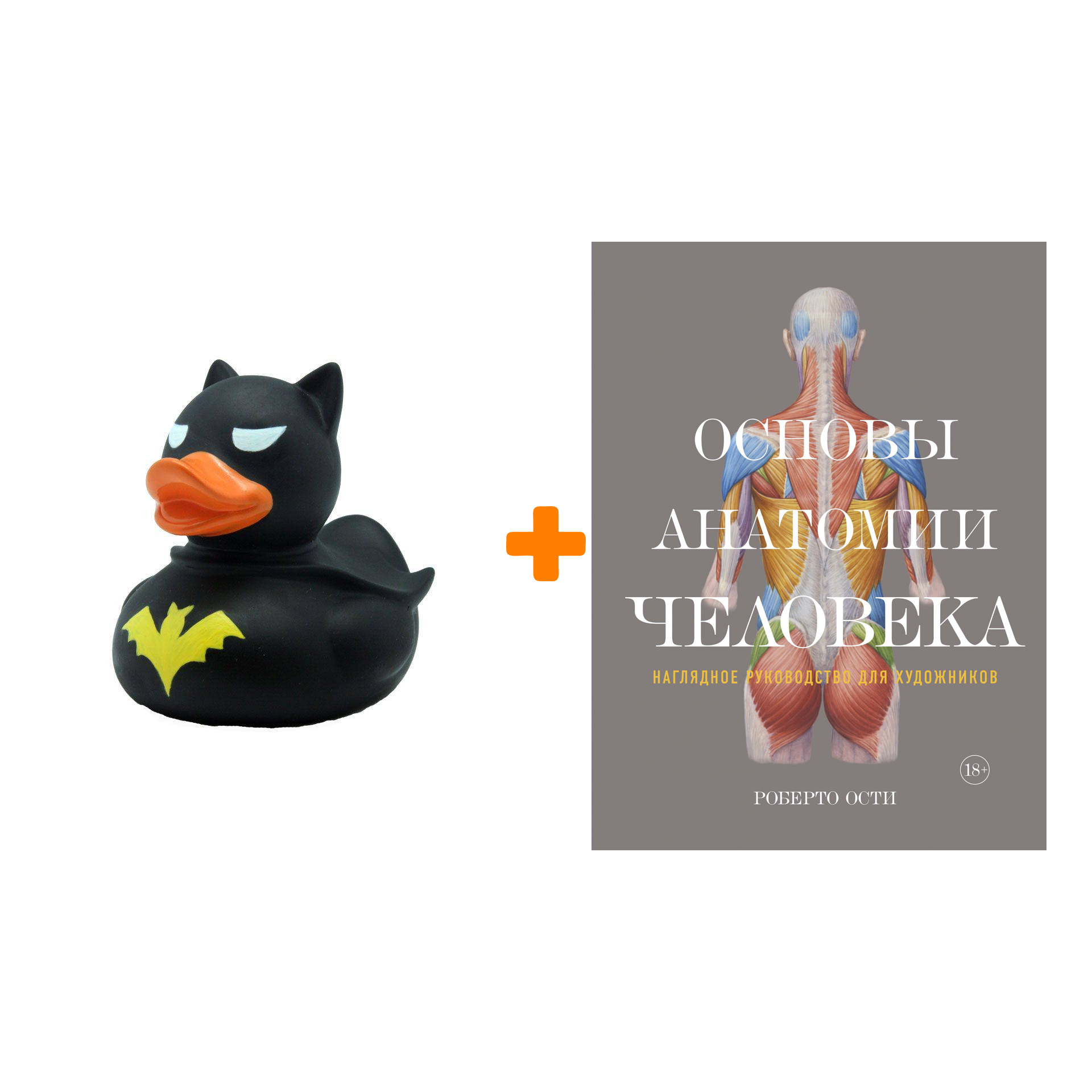 

Набор Основы анатомии человека. Наглядное руководство для художников + Фигурка Уточка Тёмный герой