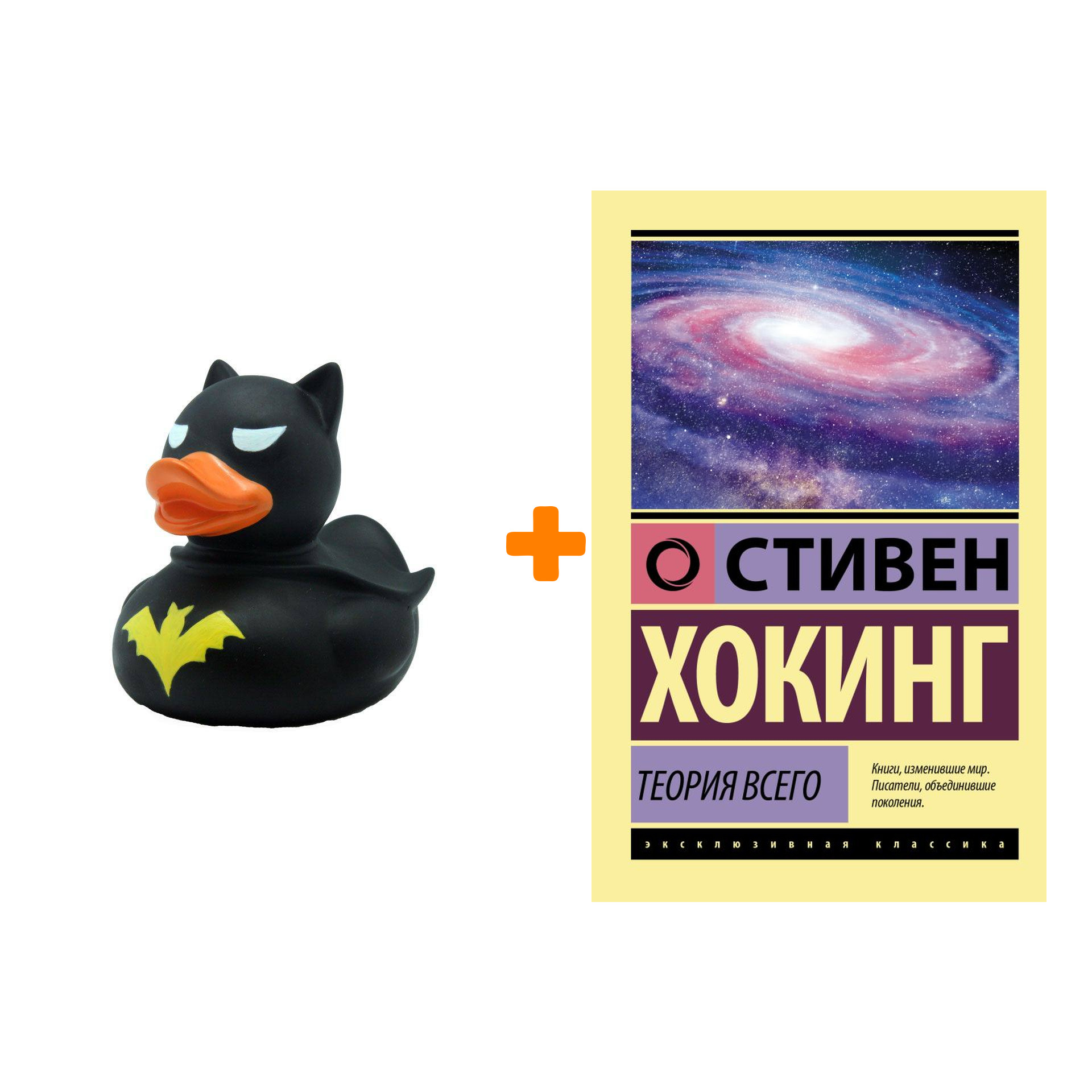 

Набор Теория Всего. Хокинг С. + Фигурка Уточка Тёмный герой