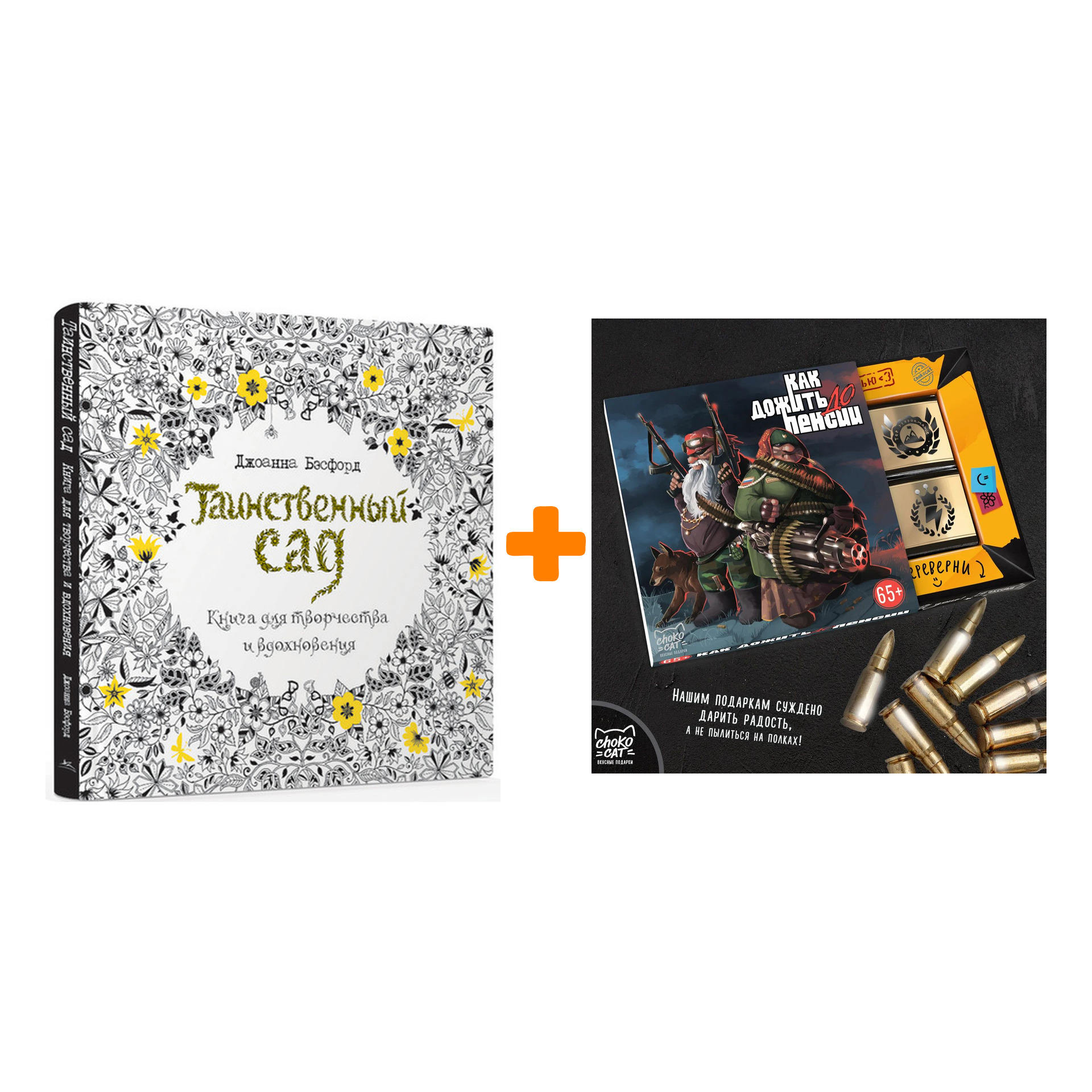 Набор Таинственный сад Книга для творчества и вдохновения + Шоколад Кэт 12 Как дожить до пенсии 60г