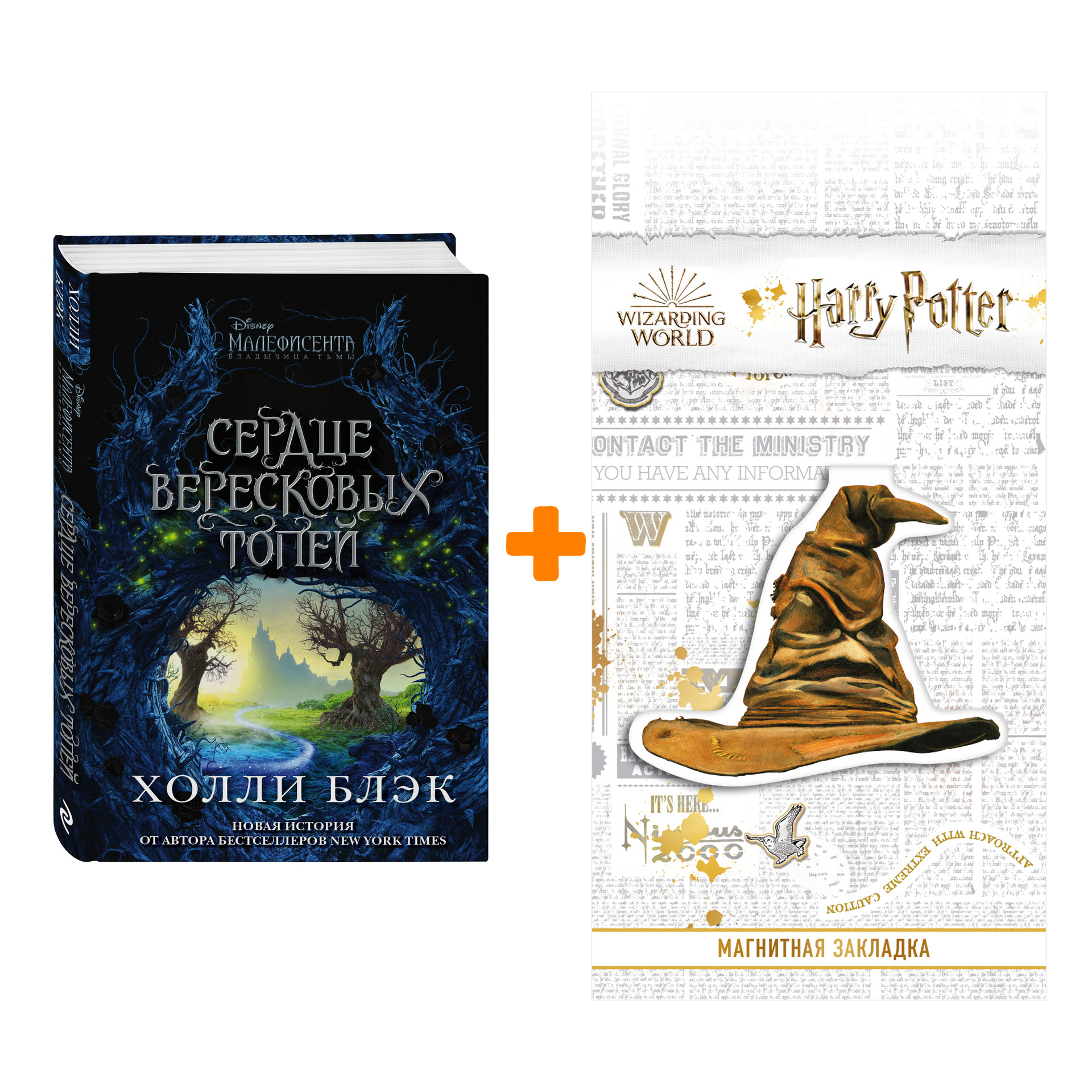 

Набор Малефисента Сердце вересковых топей Блэк Х. + Закладка Harry Potter Распределяющая шляпа магнитная
