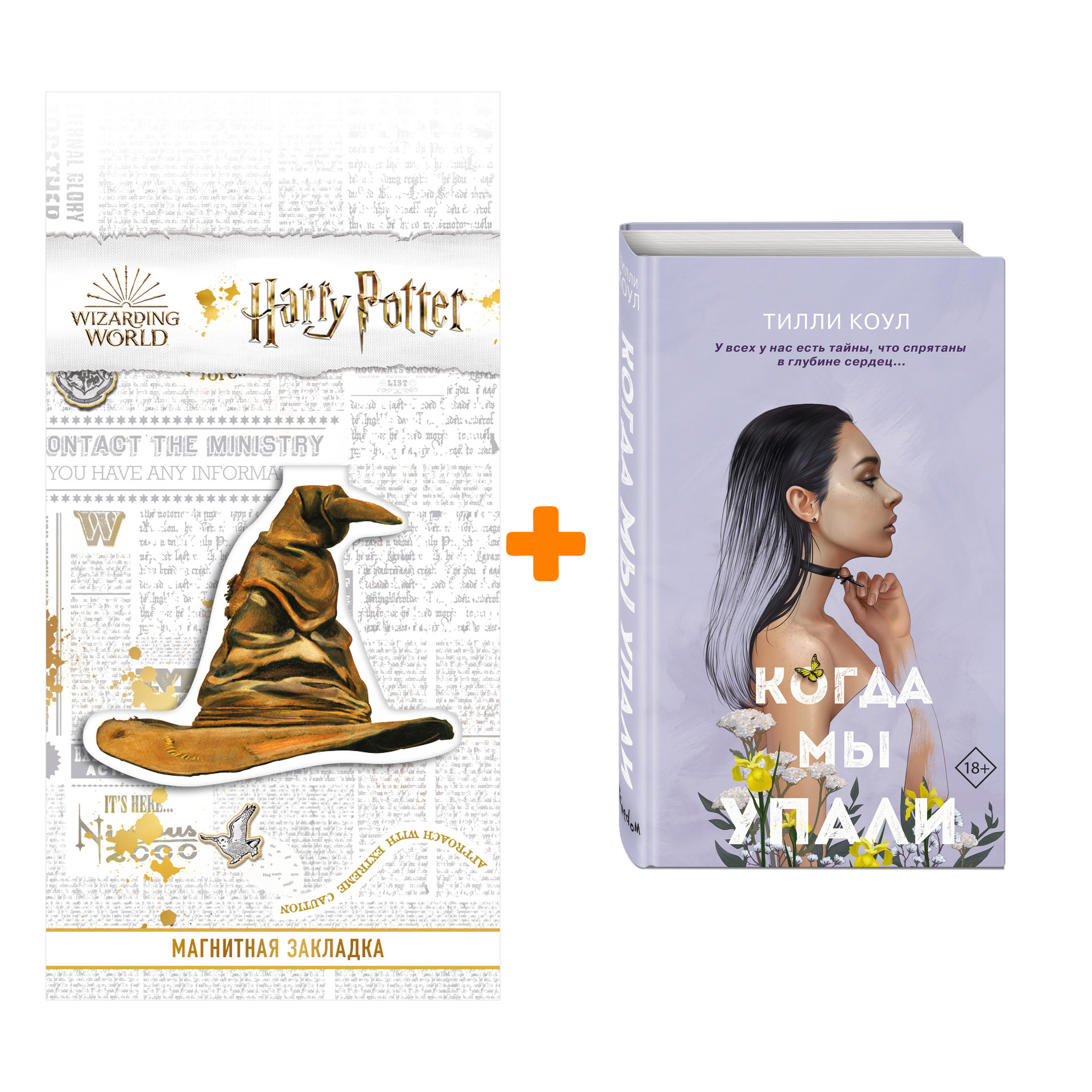 

Набор Братья Карилло. Книга 1. Когда мы упали + Закладка Harry Potter Распределяющая шляпа магнитная