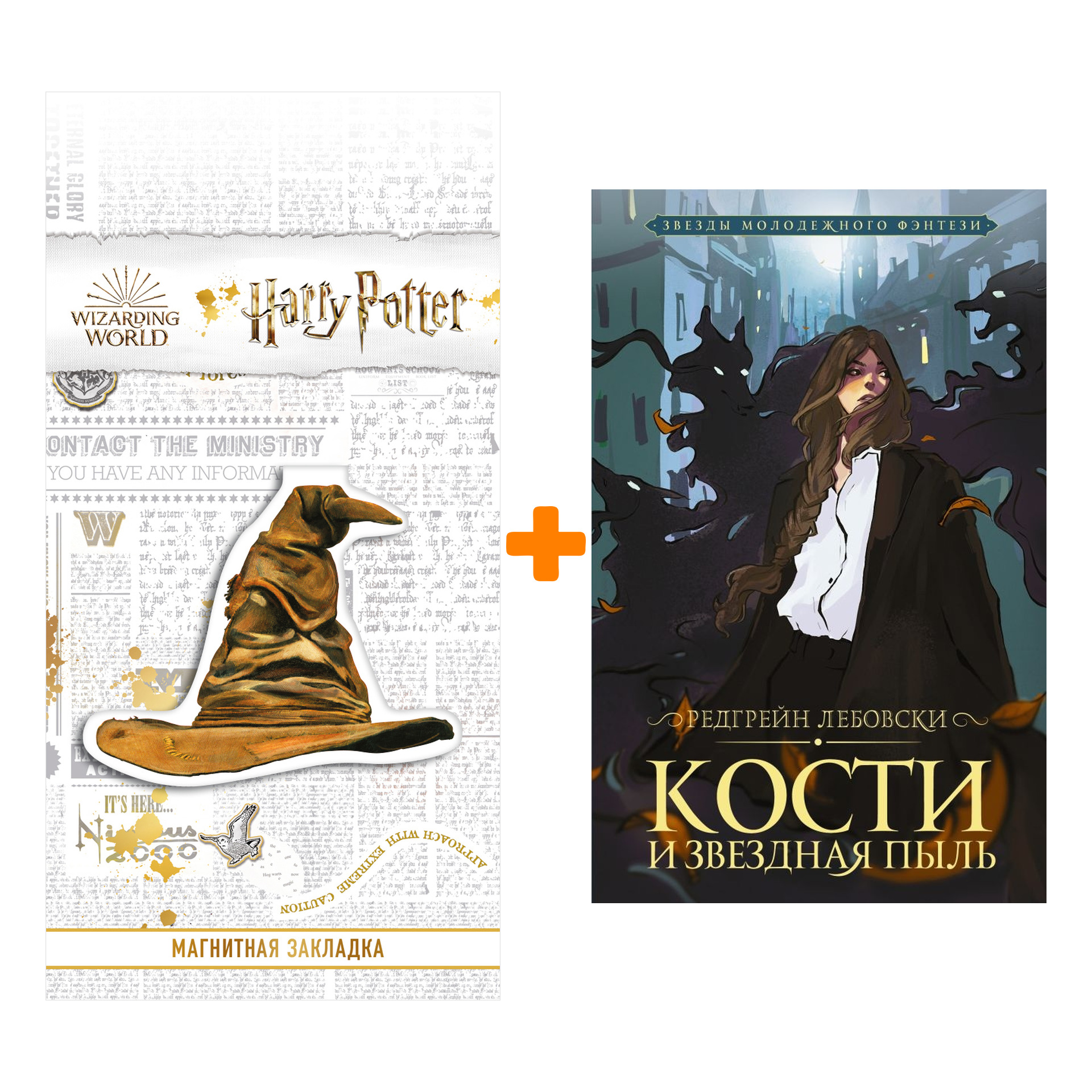 

Набор Кости и Звездная пыль. Лебовски Р. + Закладка Harry Potter Распределяющая шляпа магнитная