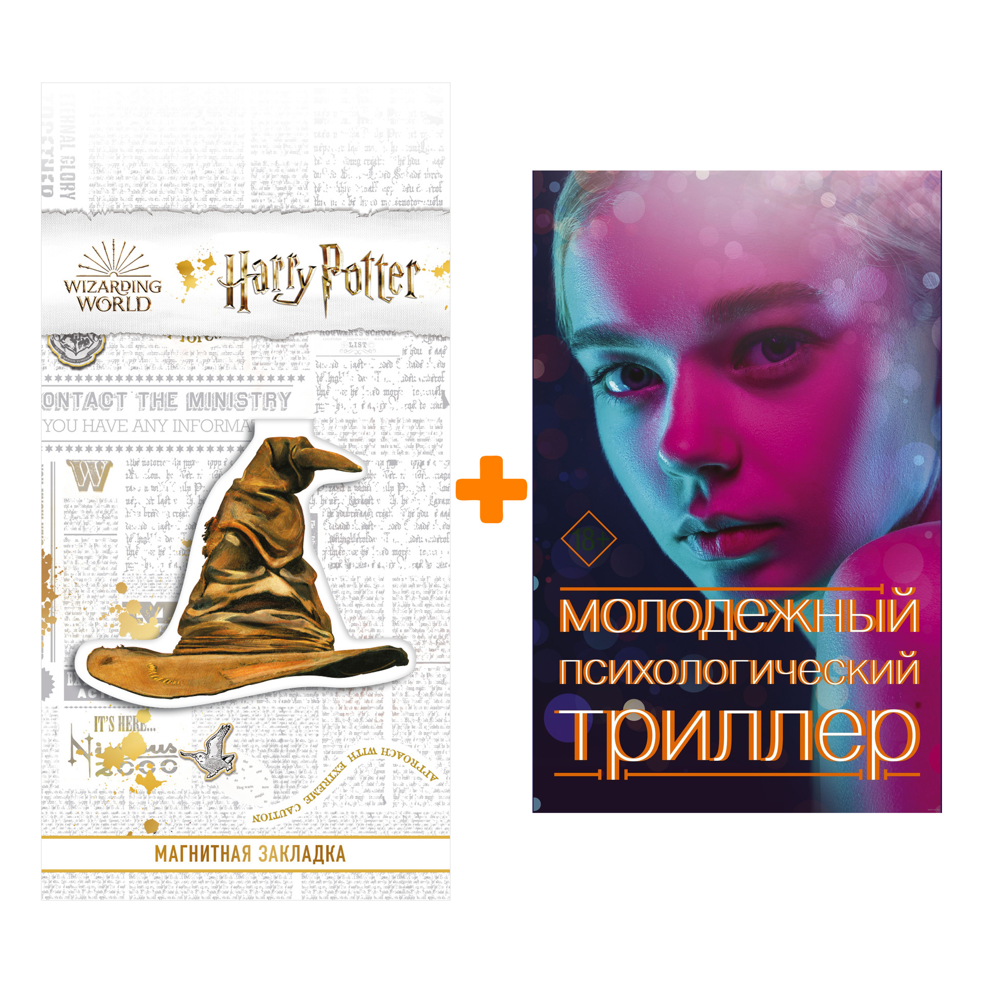 

Набор Молодежный психологический триллер (комплект). Райан Джинн, Райх Б., Шепард С. + Закладка Harry Potter Распределяющая шляпа магнитная