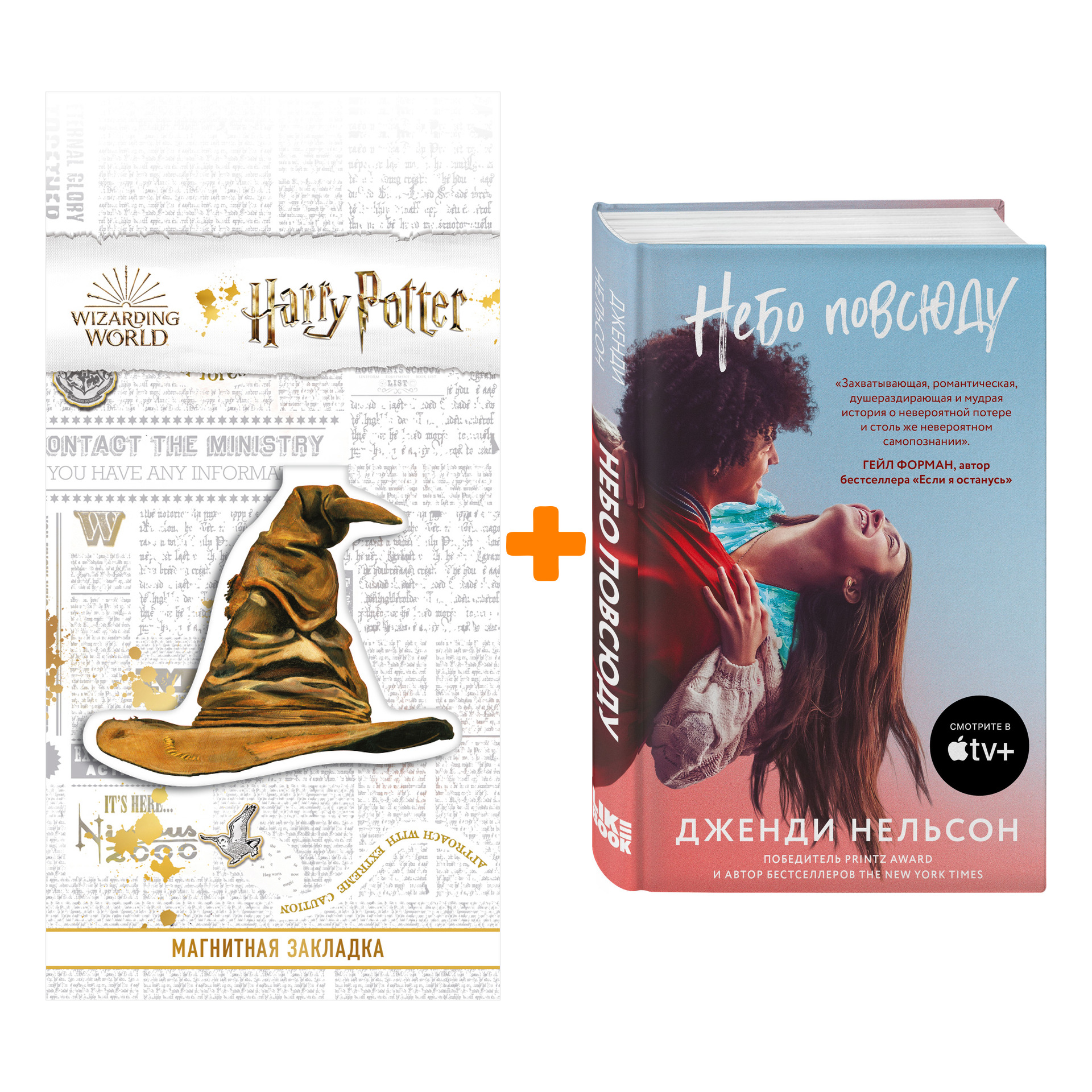 

Набор Небо повсюду. Дженди Нельсон + Закладка Harry Potter Распределяющая шляпа магнитная