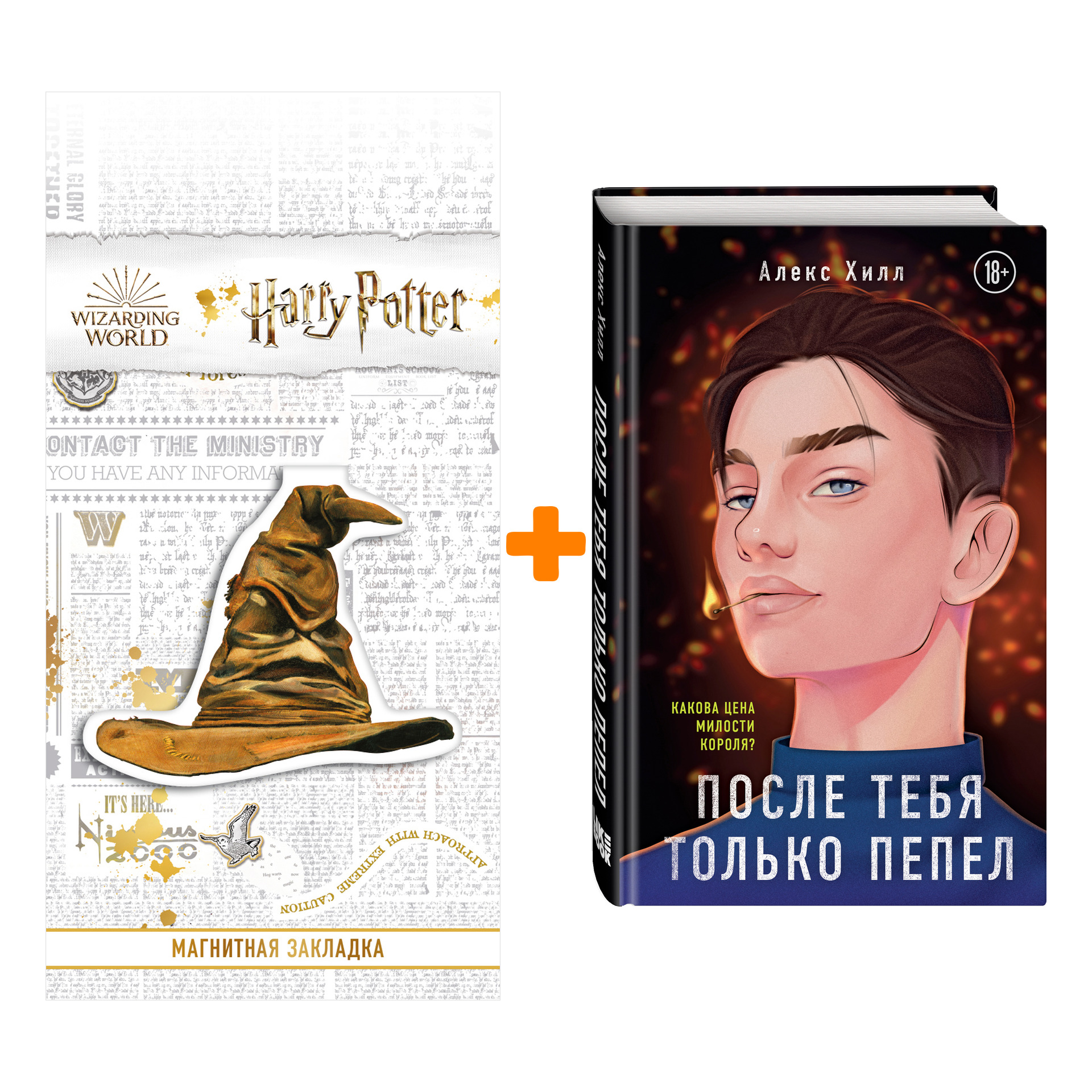 

Набор После тебя только пепел. Алекс Хилл + Закладка Harry Potter Распределяющая шляпа магнитная