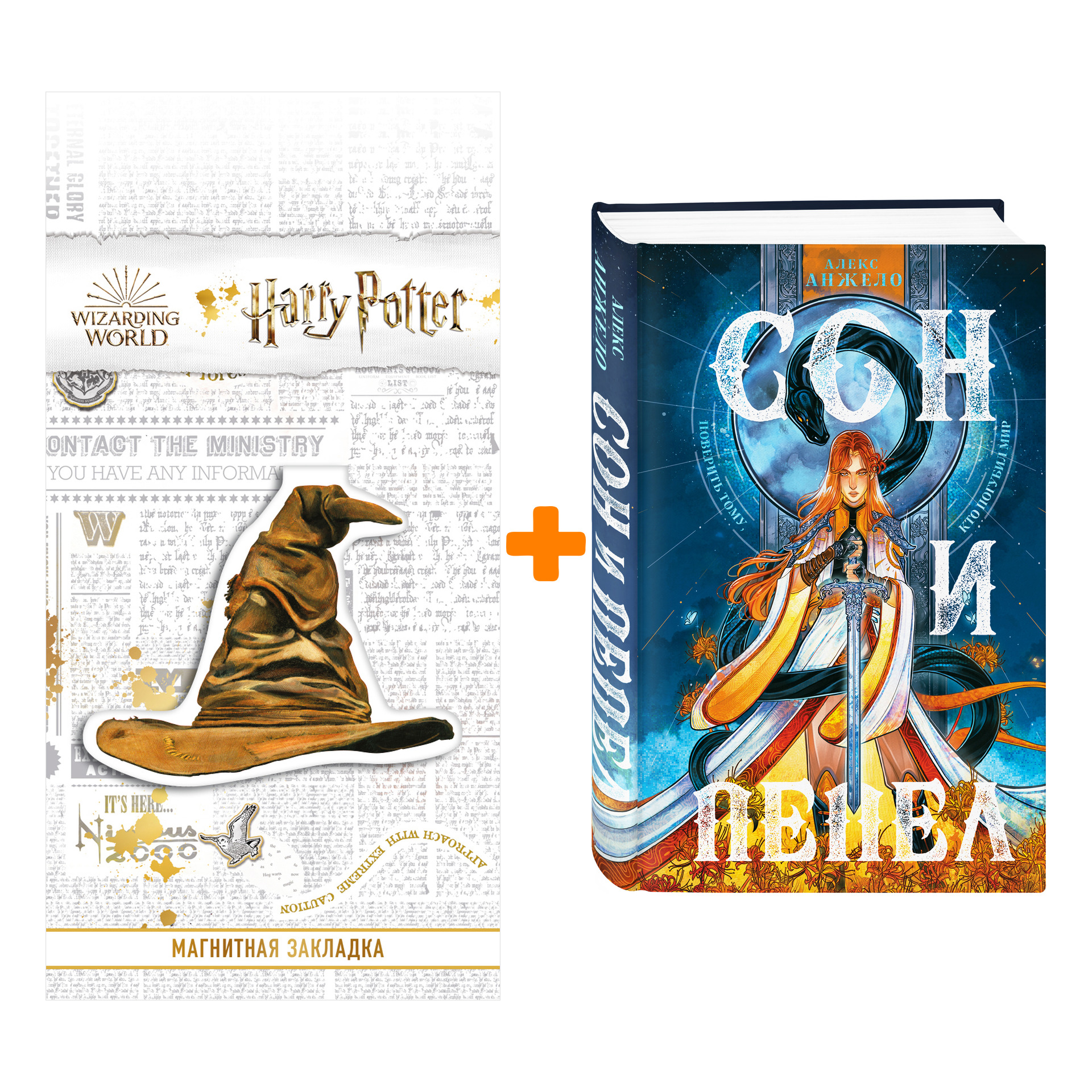 

Набор Сон и Пепел (Мир Дэвлата #1) + Закладка Harry Potter Распределяющая шляпа магнитная