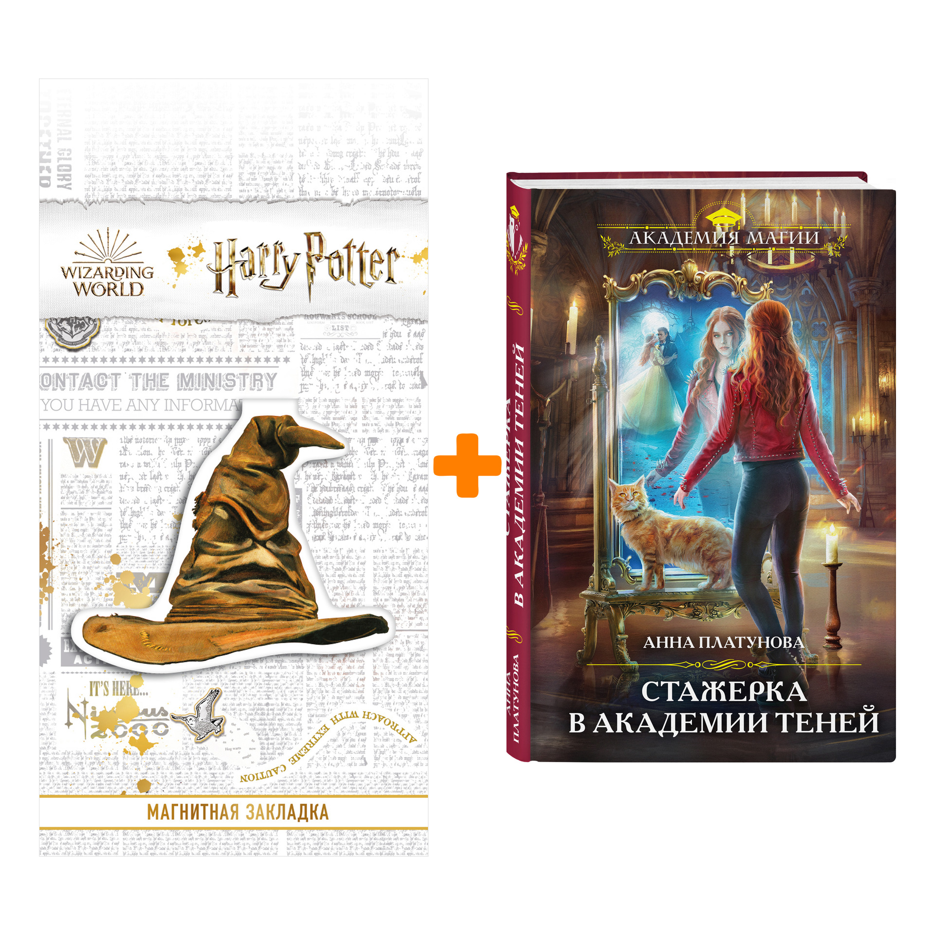 

Набор Стажерка в Академии Теней. Анна Платунова + Закладка Harry Potter Распределяющая шляпа магнитная