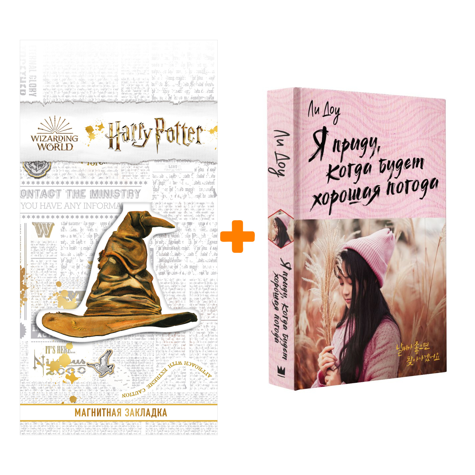 

Набор Я приду, когда будет хорошая погода. Ли Д. + Закладка Harry Potter Распределяющая шляпа магнитная