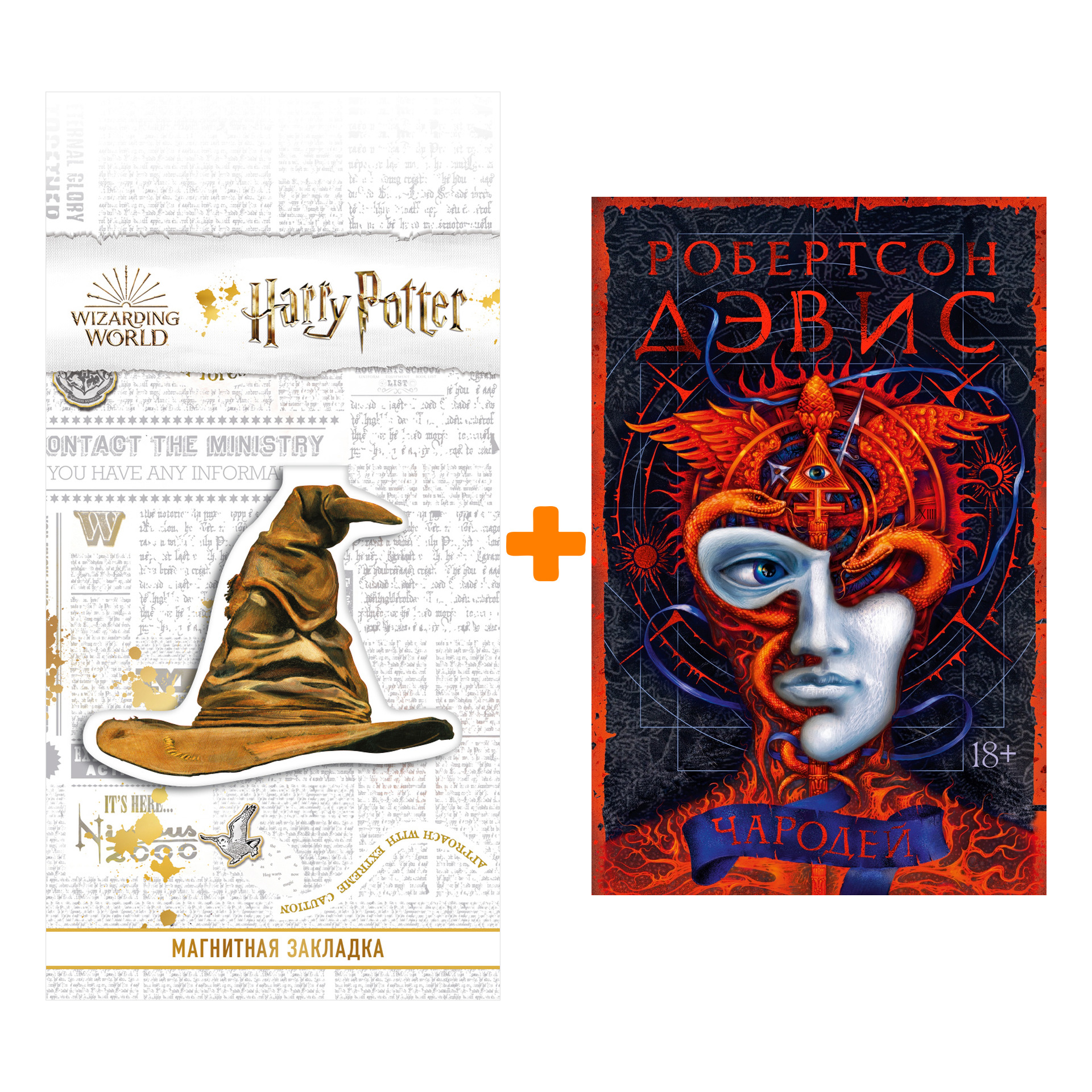 

Набор Чародей. Дэвис Р. + Закладка Harry Potter Распределяющая шляпа магнитная