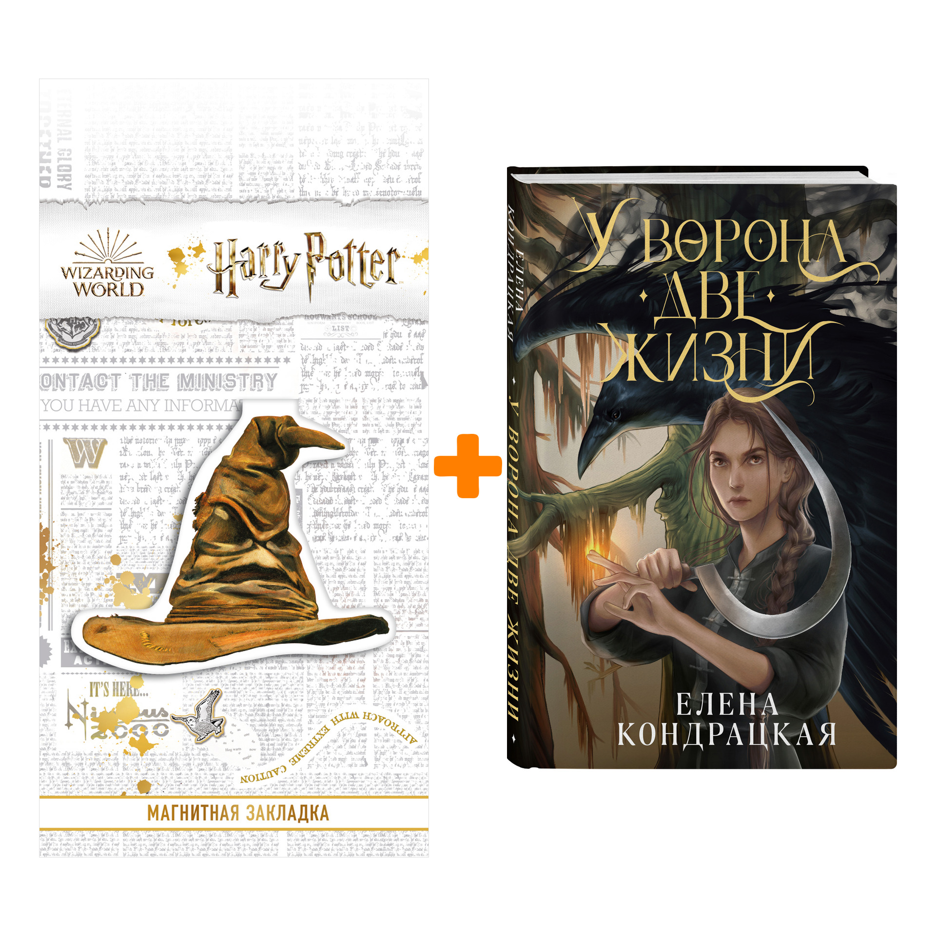 

Набор У Ворона две жизни (Дивные берега #1) + Закладка Harry Potter Распределяющая шляпа магнитная