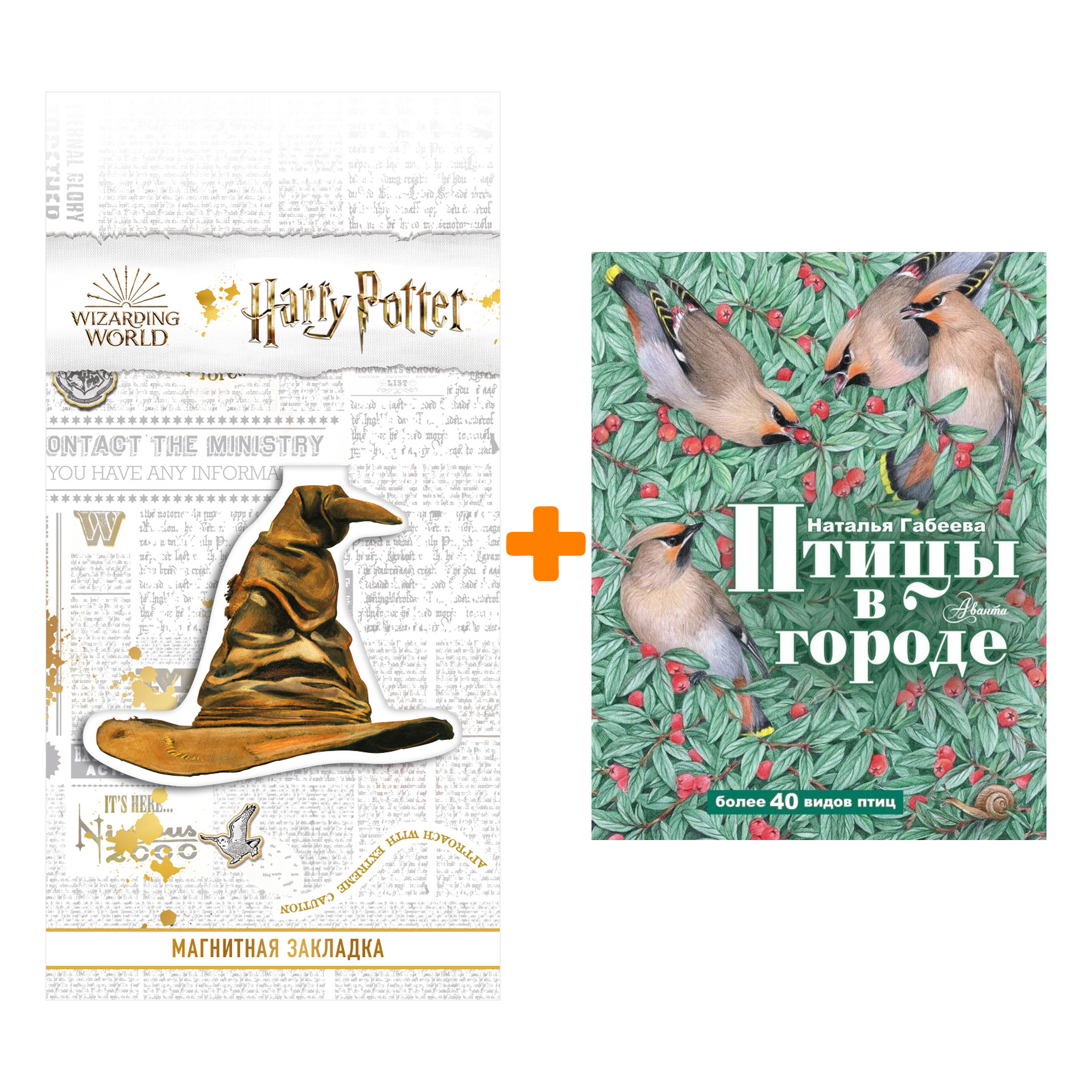 

Набор Птицы в городе Габеева Н.М. + Закладка Harry Potter Распределяющая шляпа магнитная