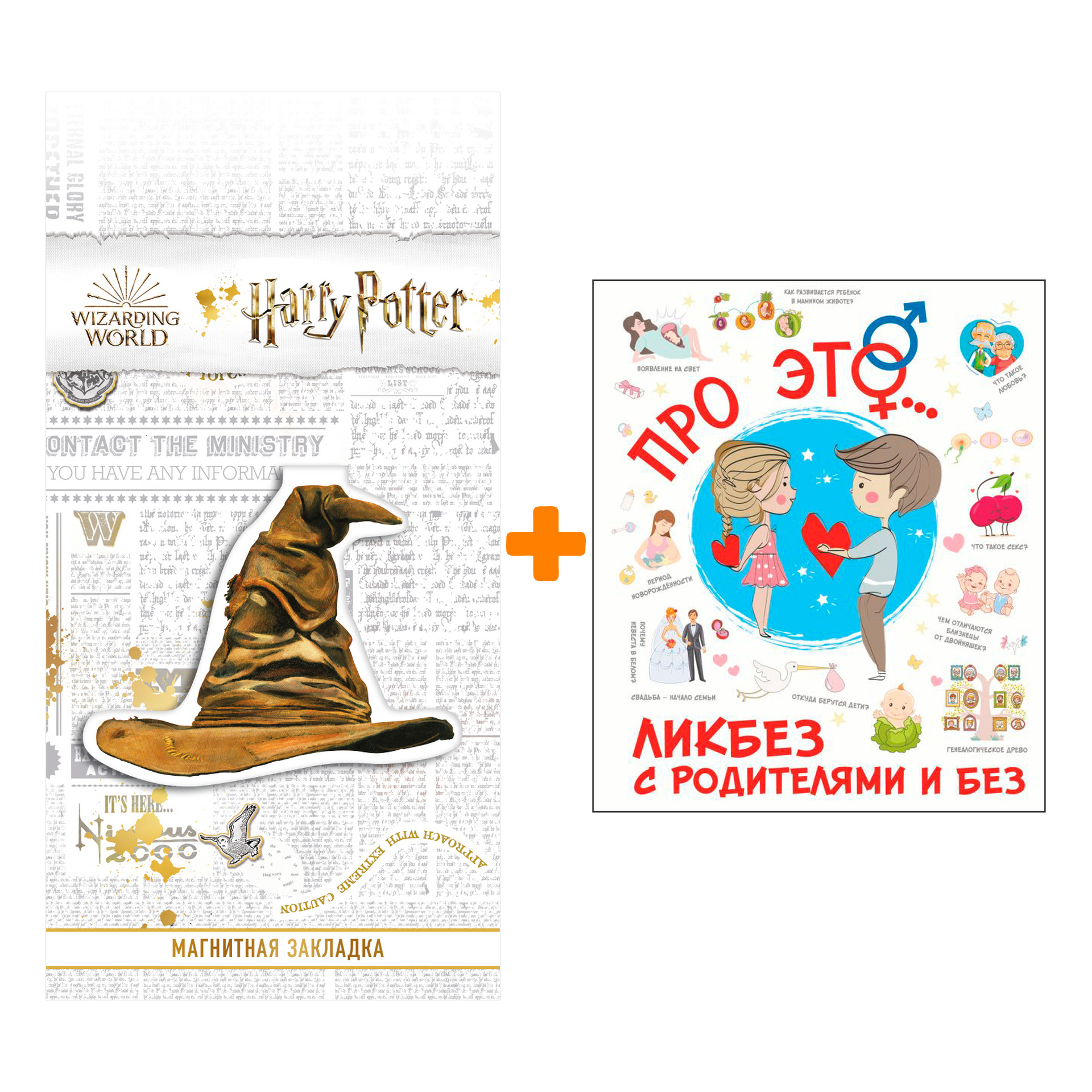 

Набор Про ЭТО...Лигун Н.А. + Закладка Harry Potter Распределяющая шляпа магнитная