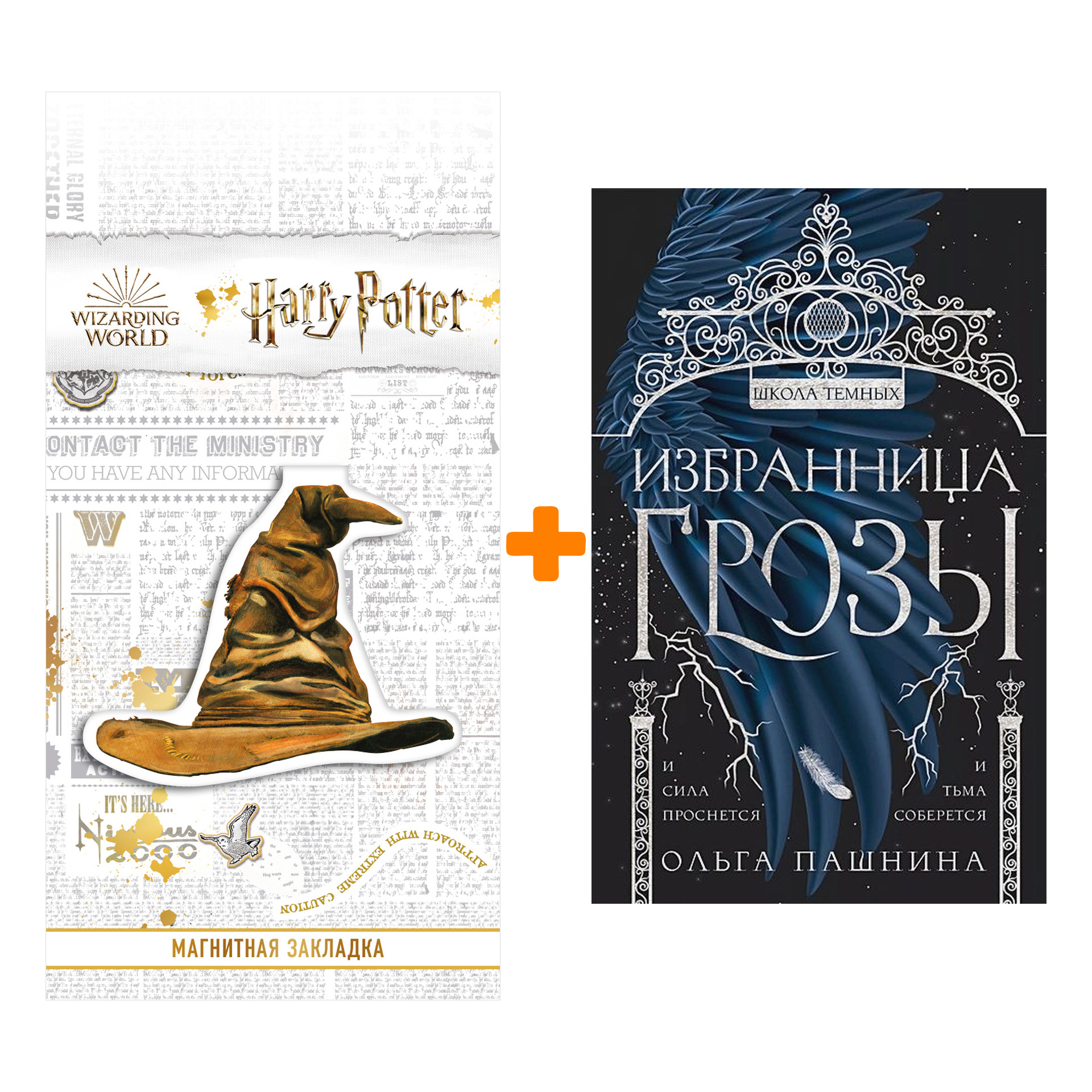 

Набор Избранница грозы (Школа темных #1). Ольга Пашнина + Закладка Harry Potter Распределяющая шляпа магнитная
