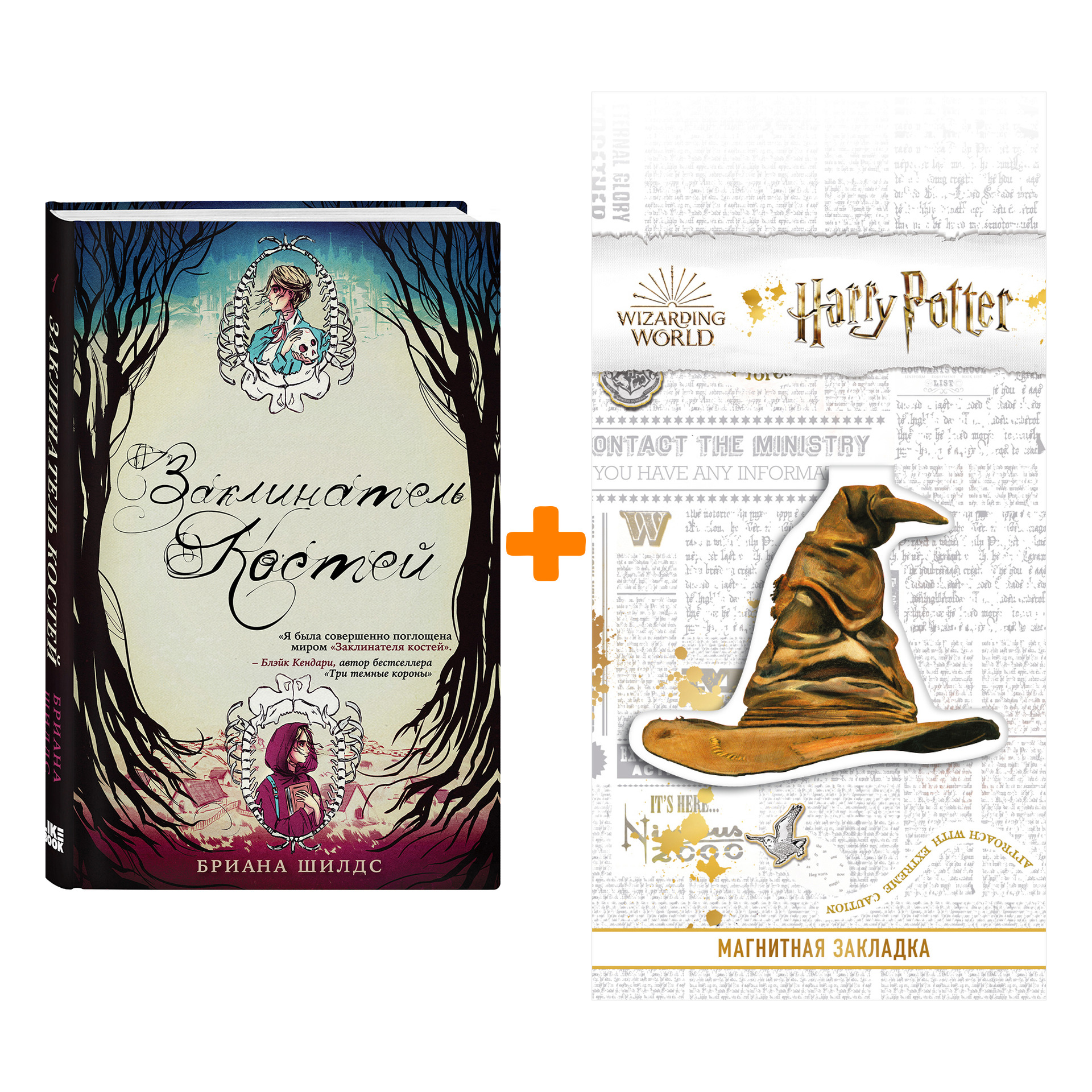 

Набор Заклинатель костей. Бриана Шилдс + Закладка Harry Potter Распределяющая шляпа магнитная