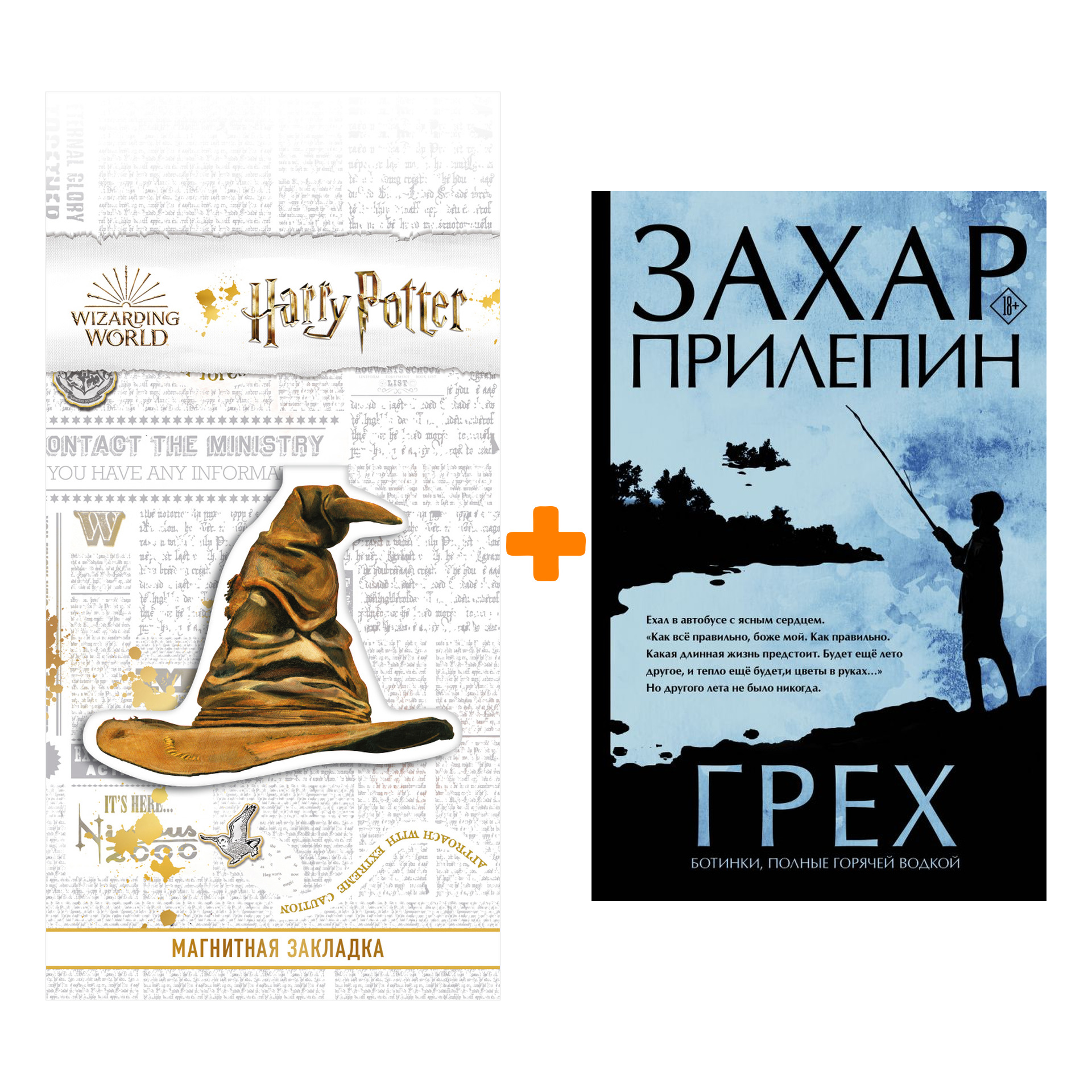 

Набор Грех. Прилепин Захар + Закладка Harry Potter Распределяющая шляпа магнитная