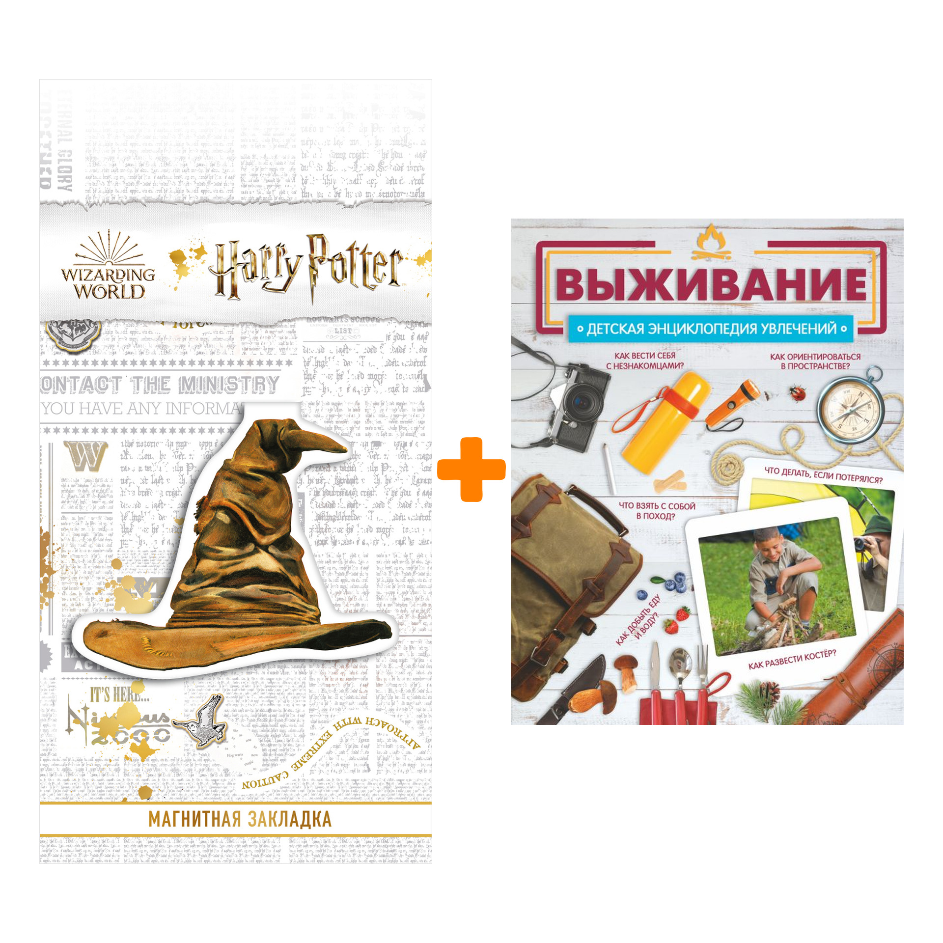 

Набор Выживание. Медведев Д.Ю. + Закладка Harry Potter Распределяющая шляпа магнитная