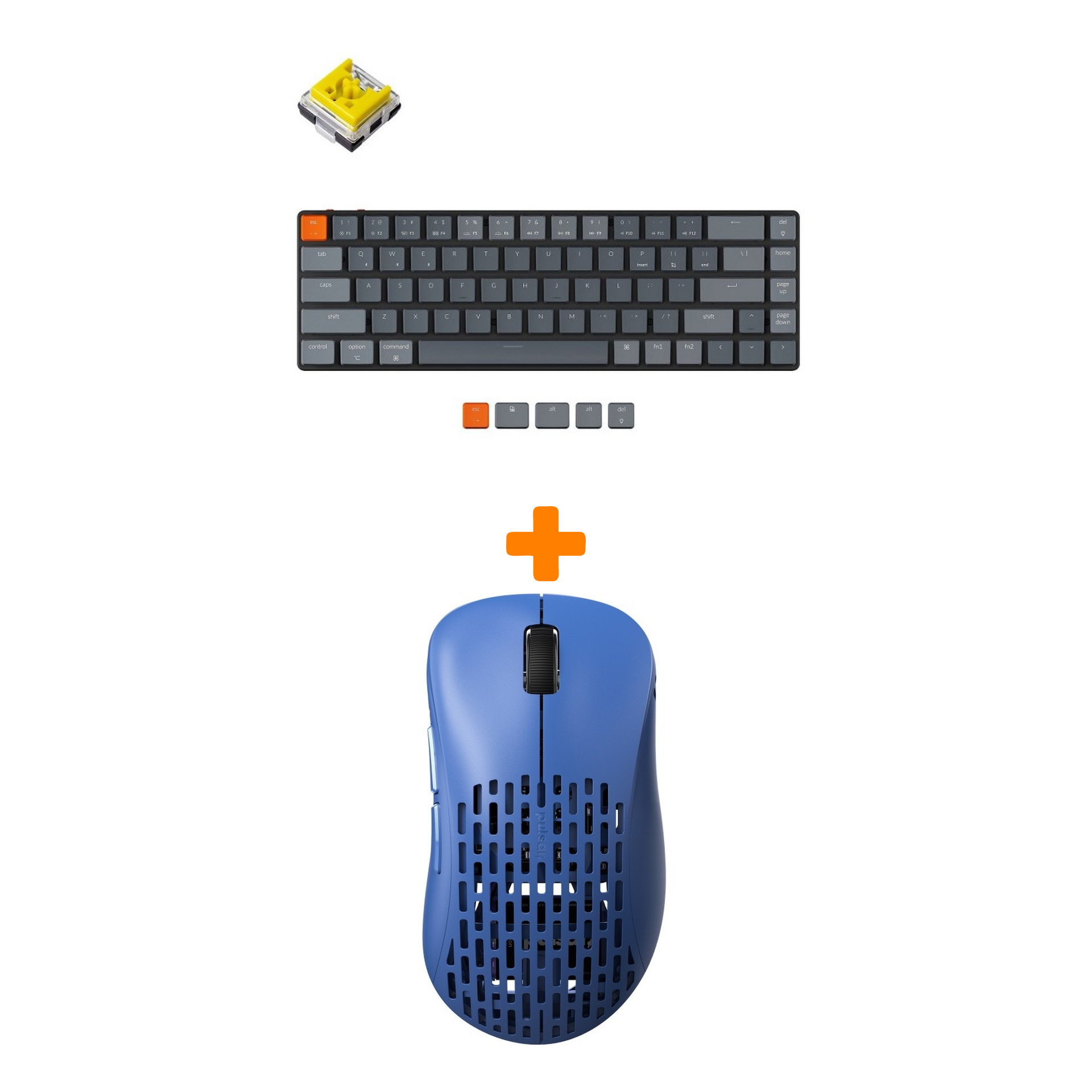 

Набор Мышь Pulsar Xlite Wireless V2 Competition Blue + Клавиатура Keychron K7 Low Profile, RGB, Banana Switch