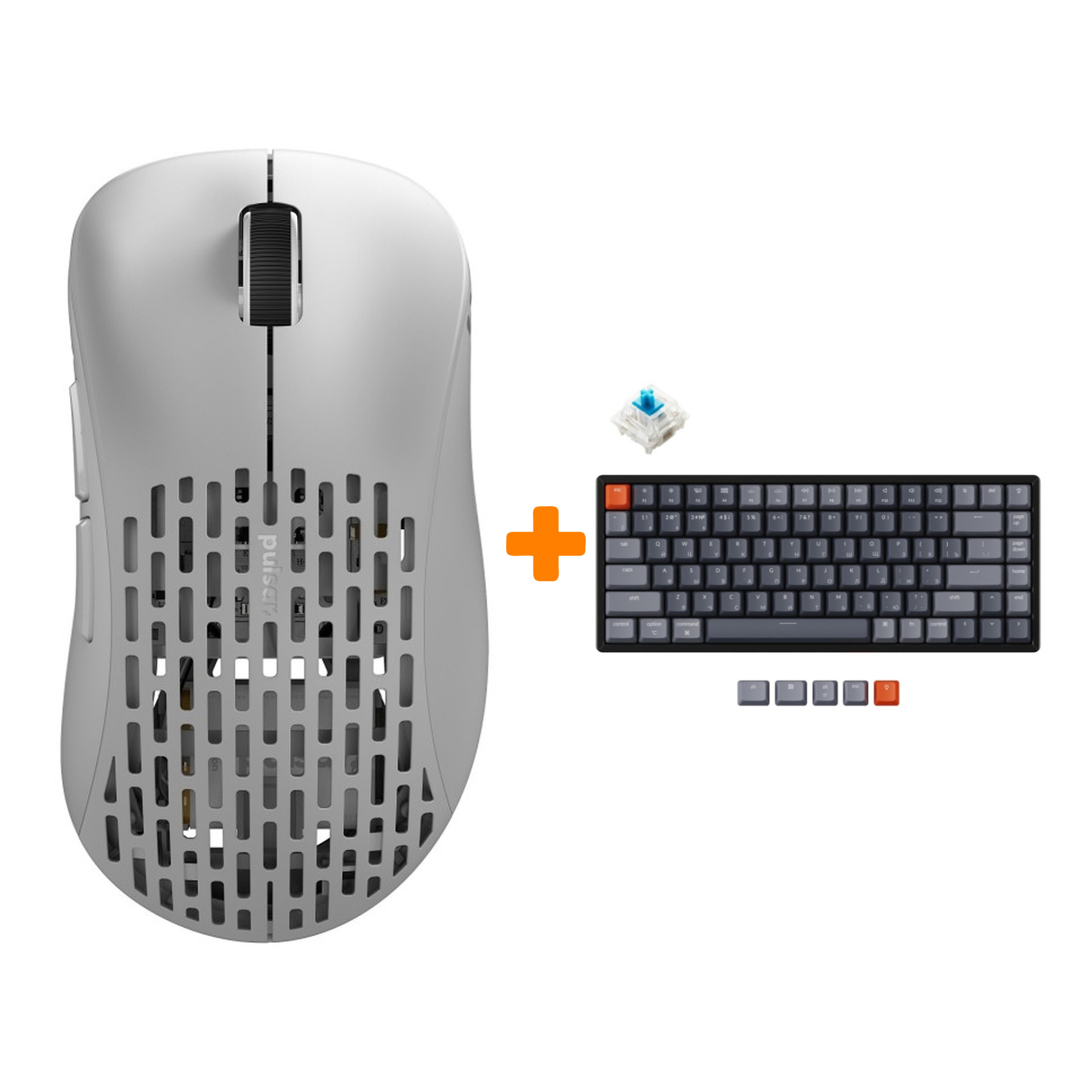 

Набор Мышь Pulsar Xlite Wireless V2 Competition Mini White + Клавиатура Keychron K2, RGB Hot-Swap, Gateron Blue Switch