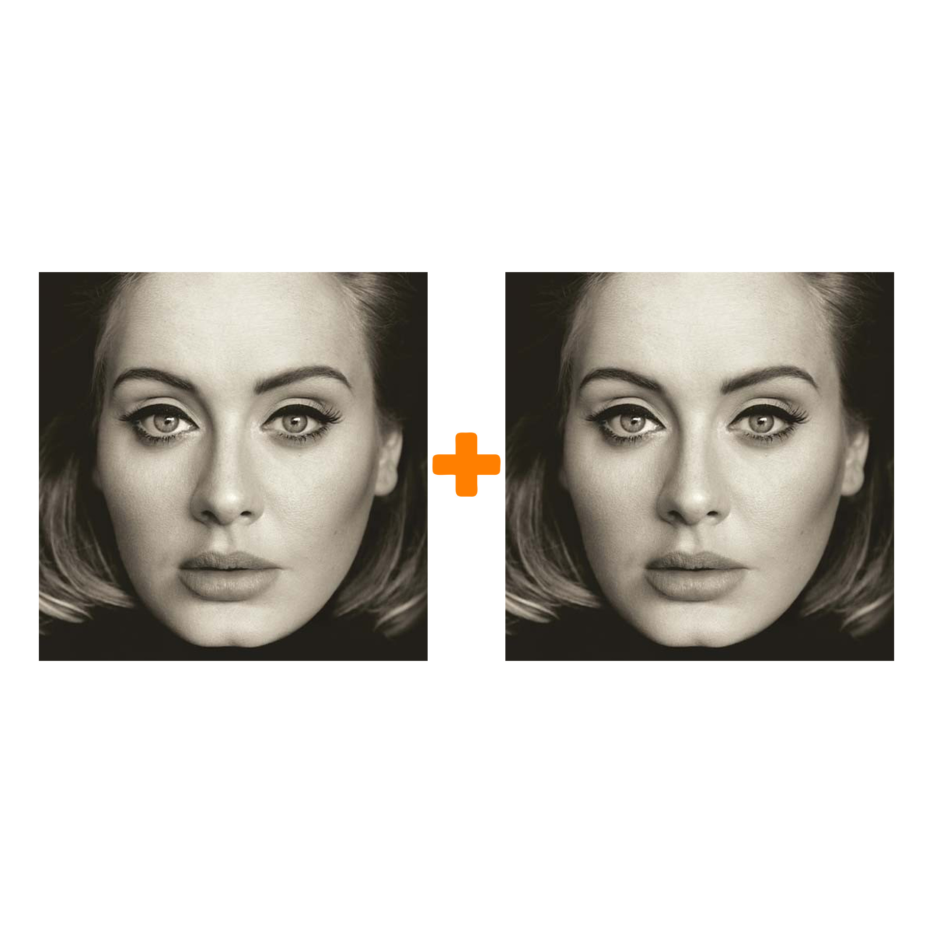

Набор для меломанов «Поп»: Adele. 25 (LP) + Adele – 25 (CD)