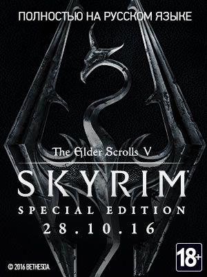  Elder Scrolls V: Skyrim  PS4  Xbox One –   