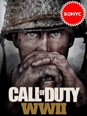  Call of Duty: WWII:  