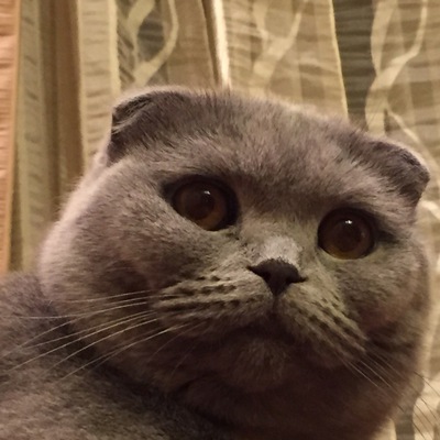 Аноним
