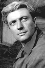 Вадим Бероев Вадим Бероев
